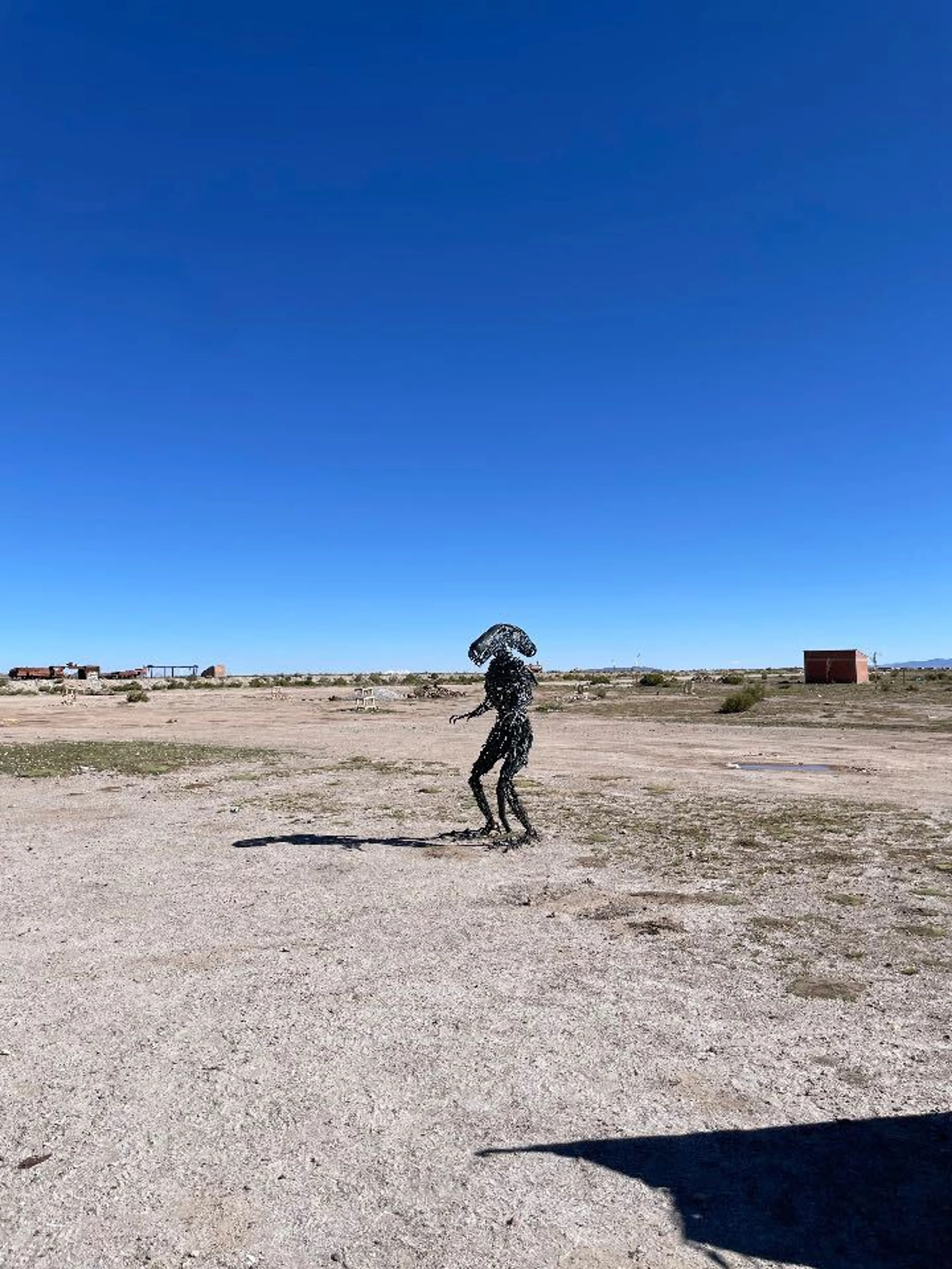 宇宙人もいる！