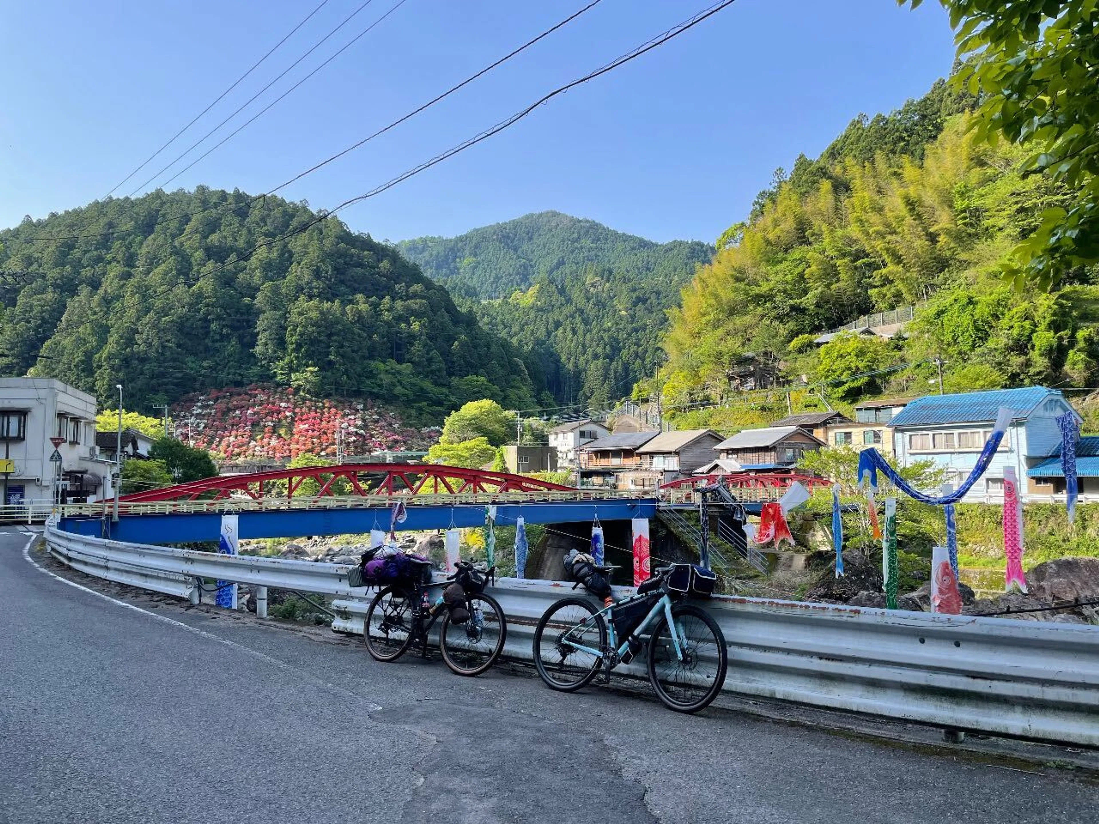 こいのぼりがいっぱい