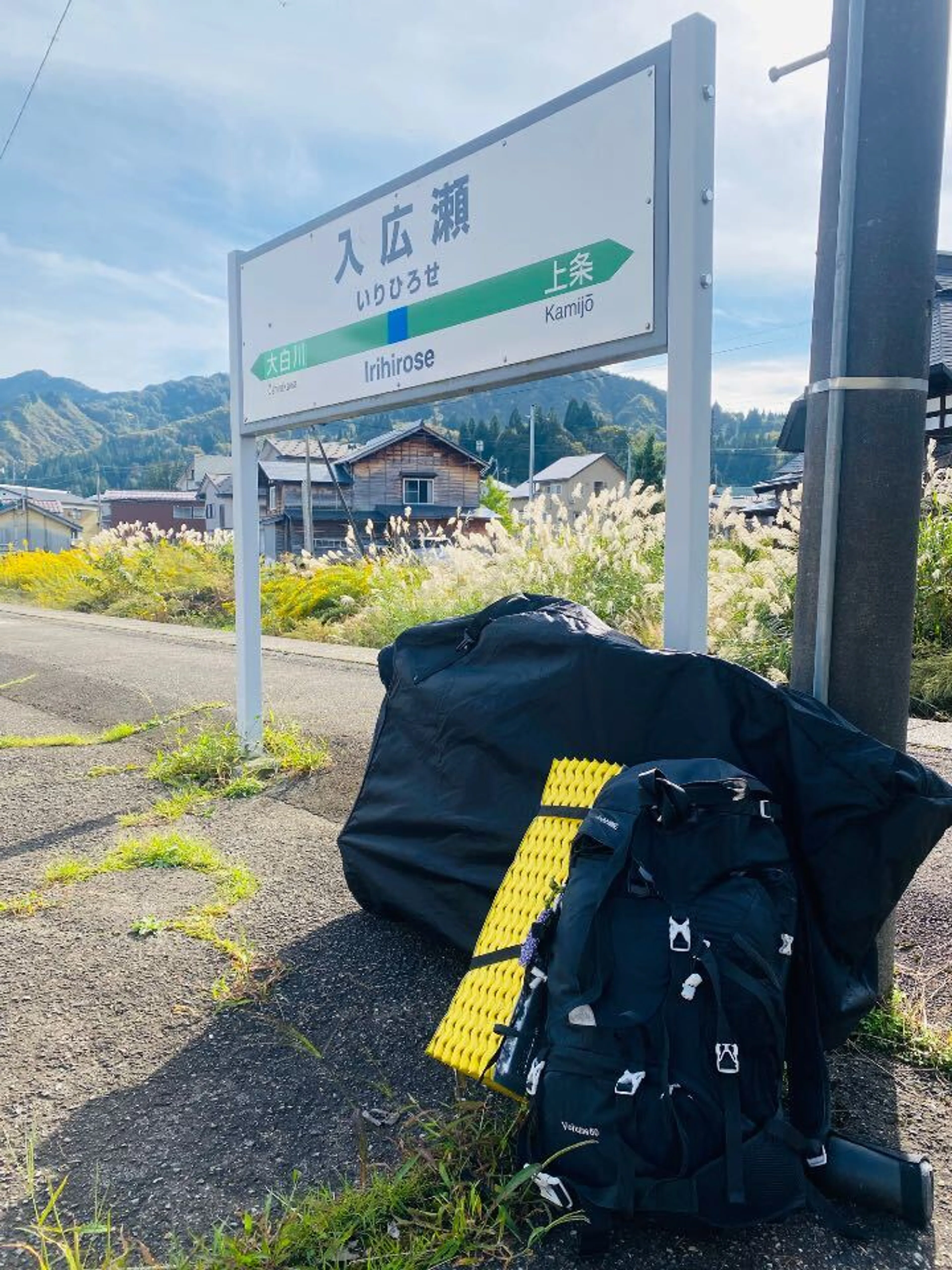 今年(2025)は行けなかったので余計に恋しい