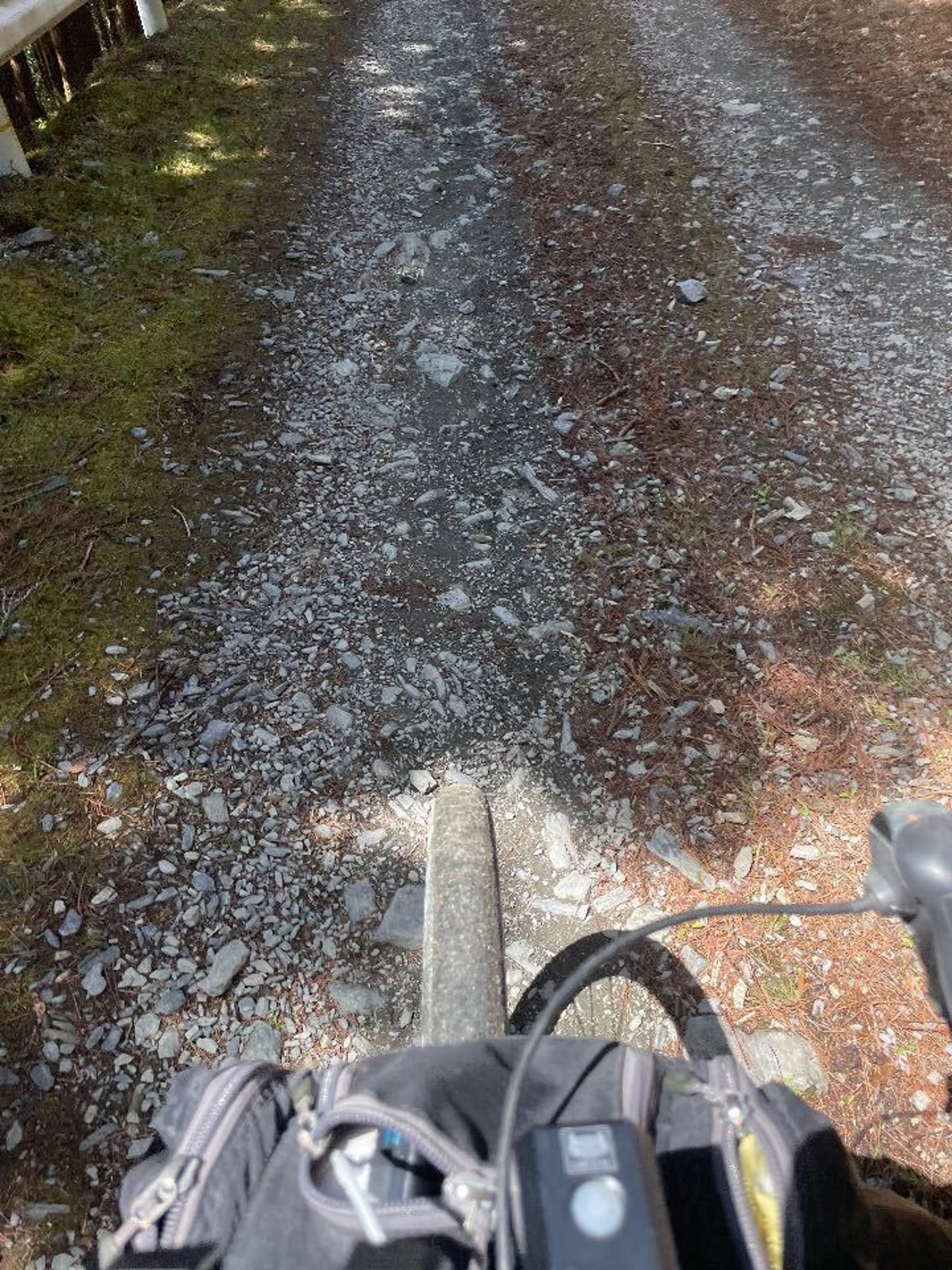 ダートですのよ