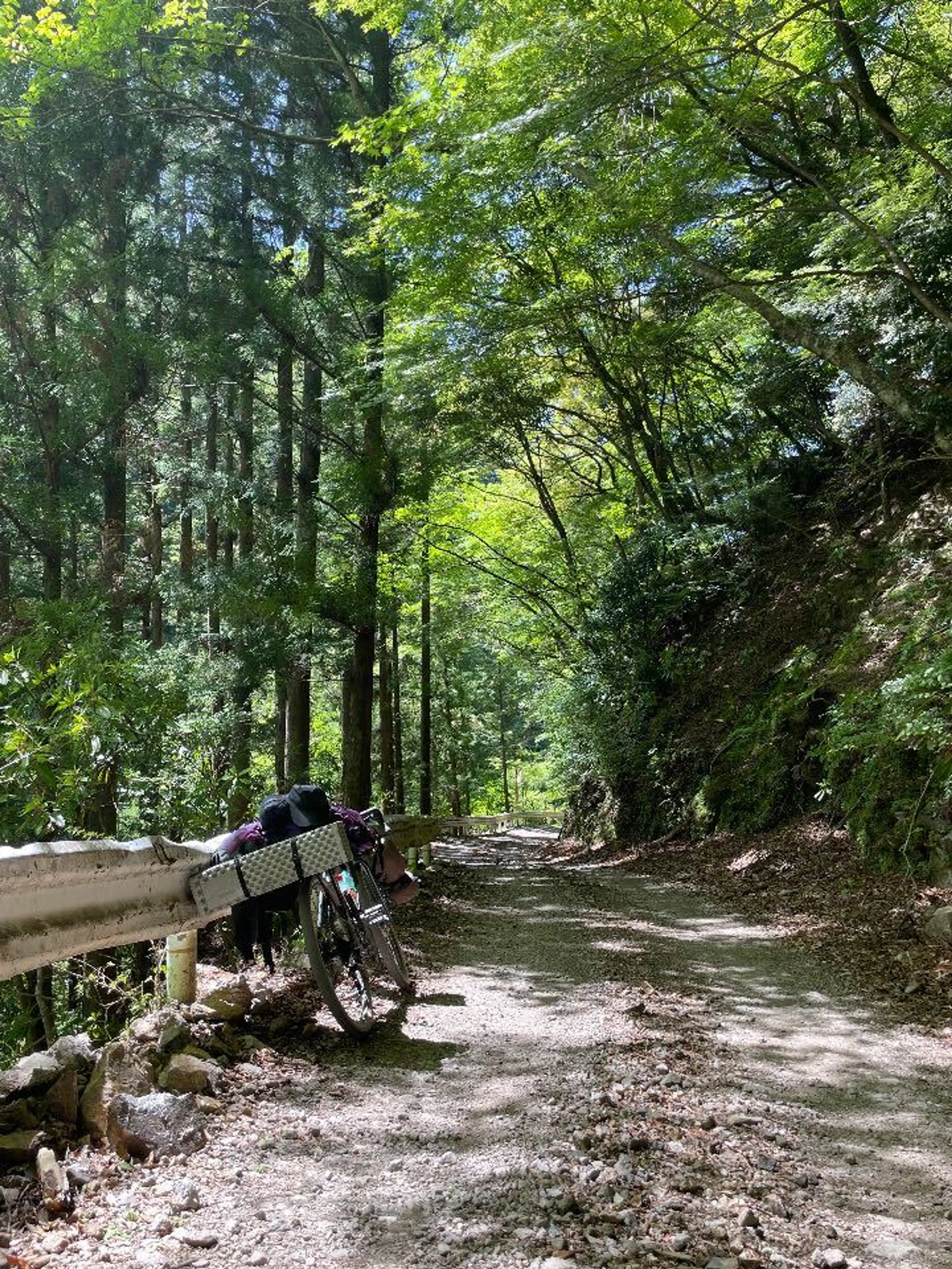 最後まで味する林道