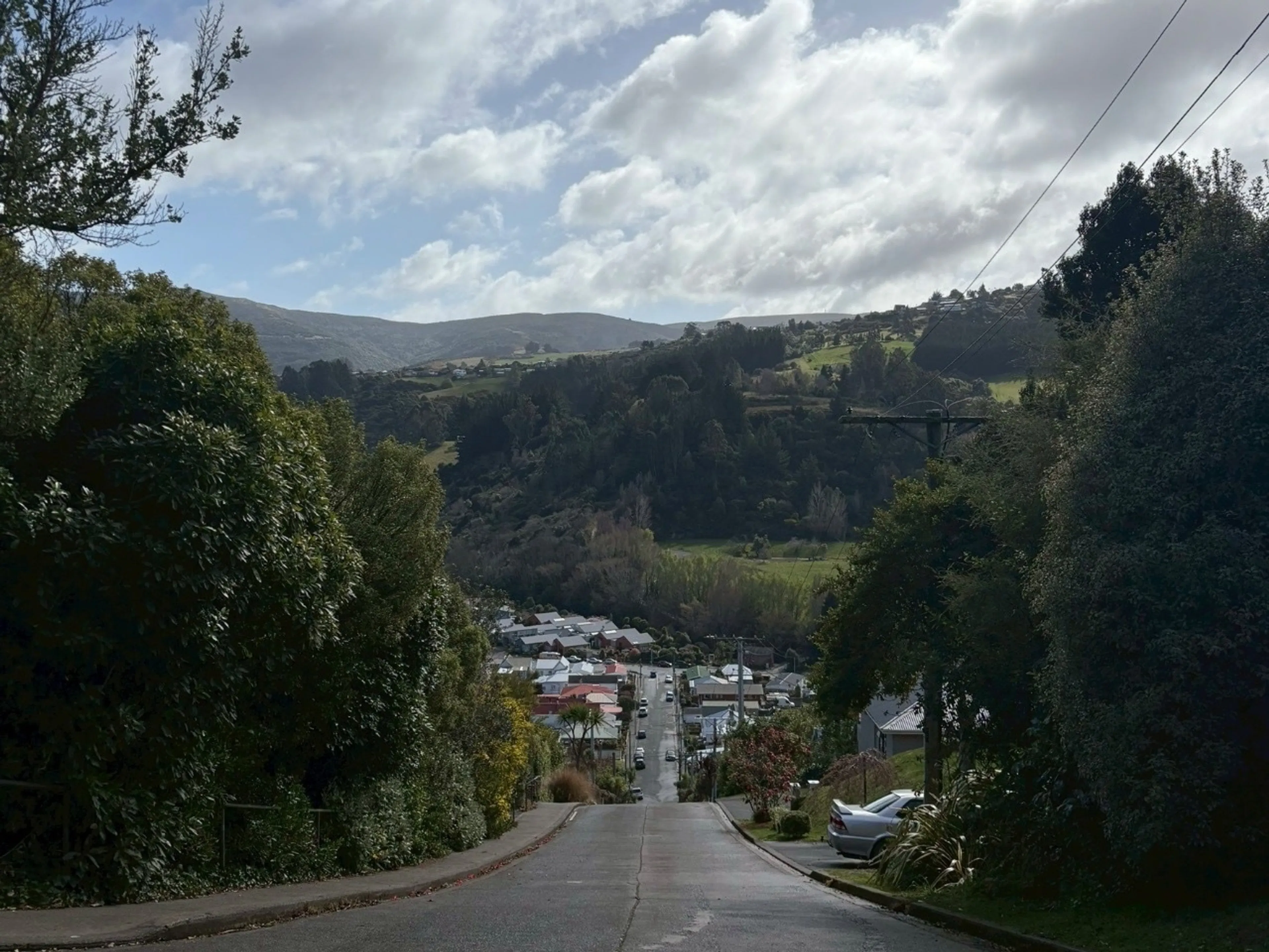 ボールドウィン世界一の急坂はもはや崖