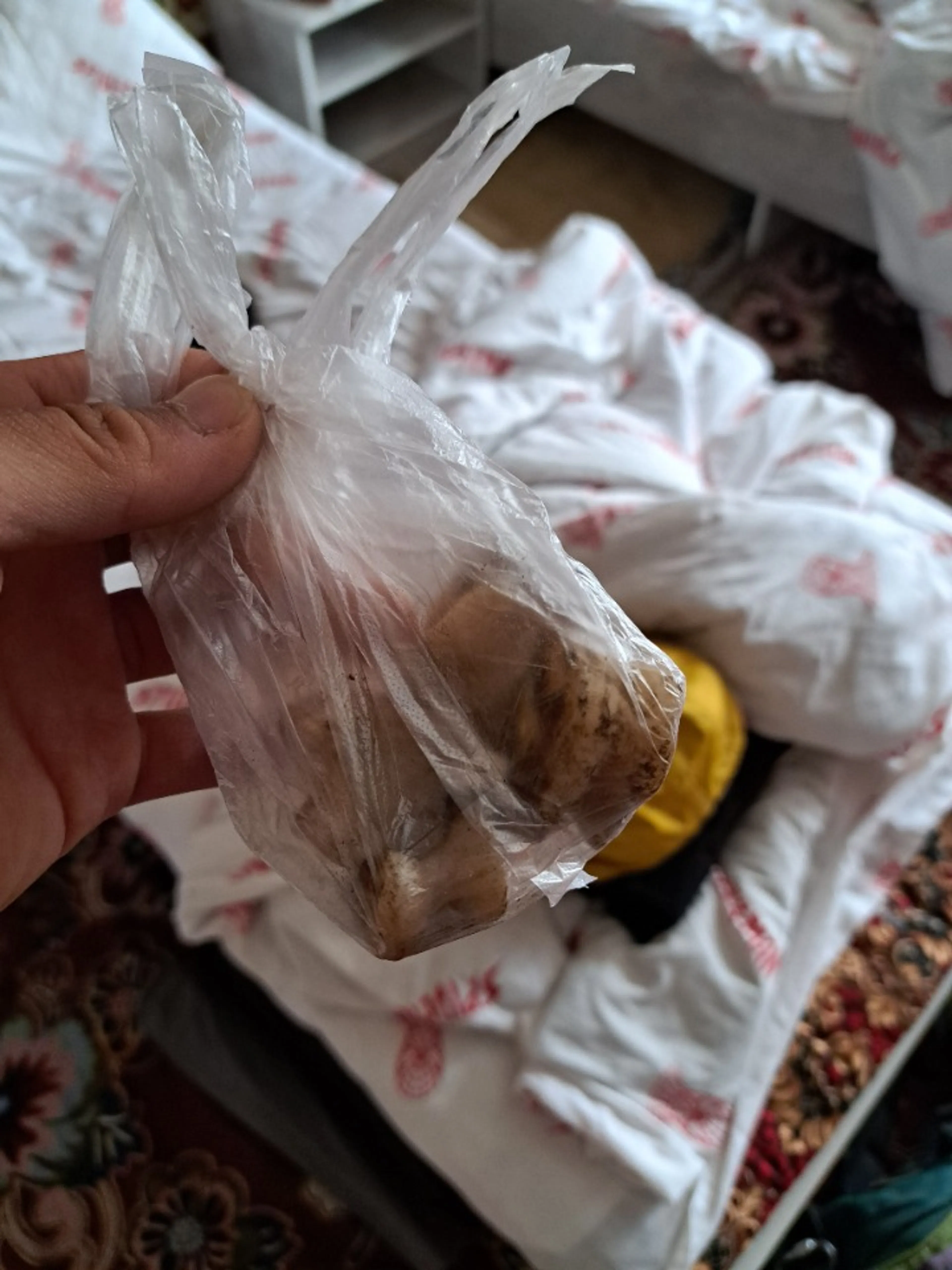 遊んだお礼に羊の骨をもらった