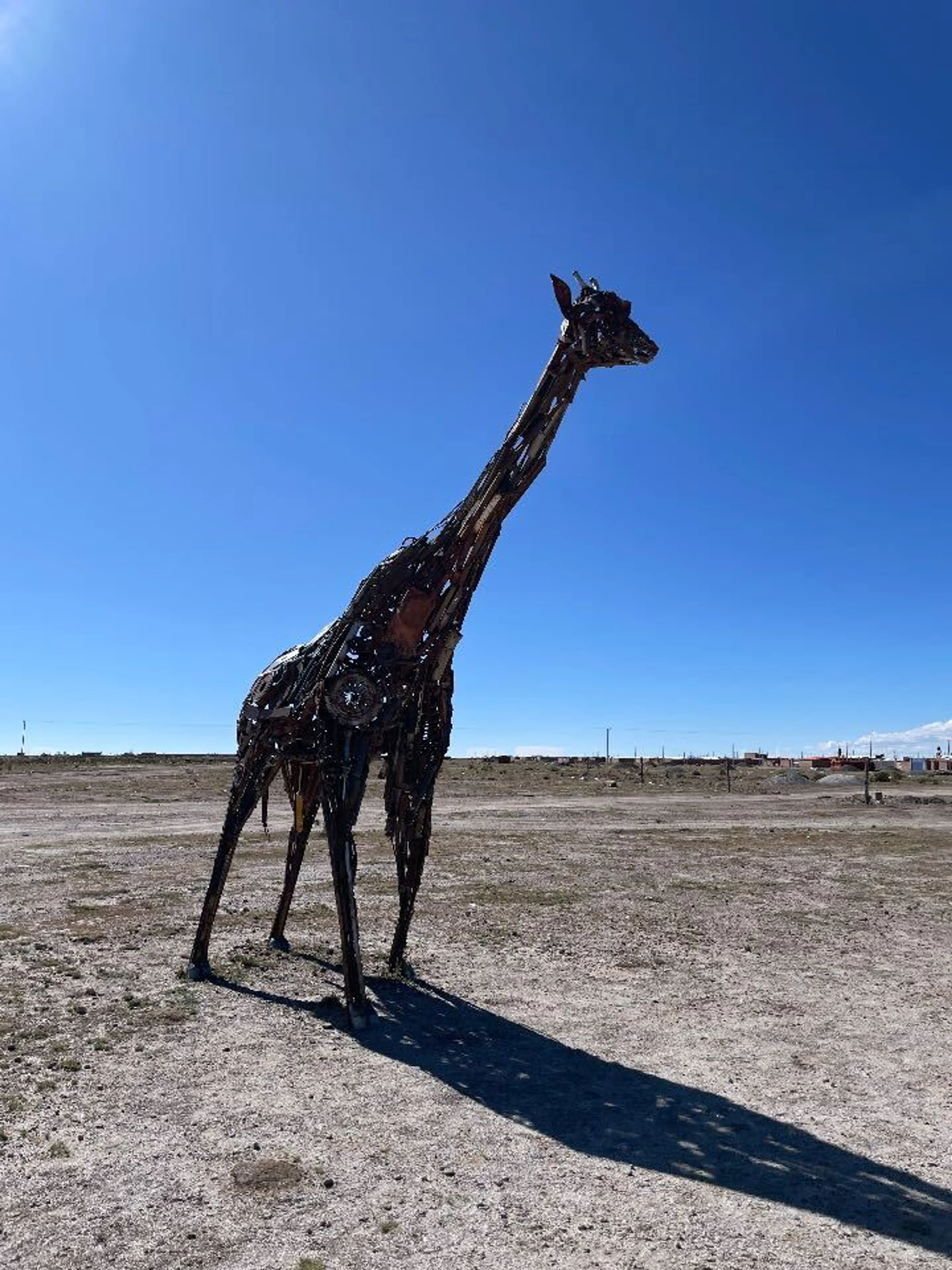 きりんもいた！！