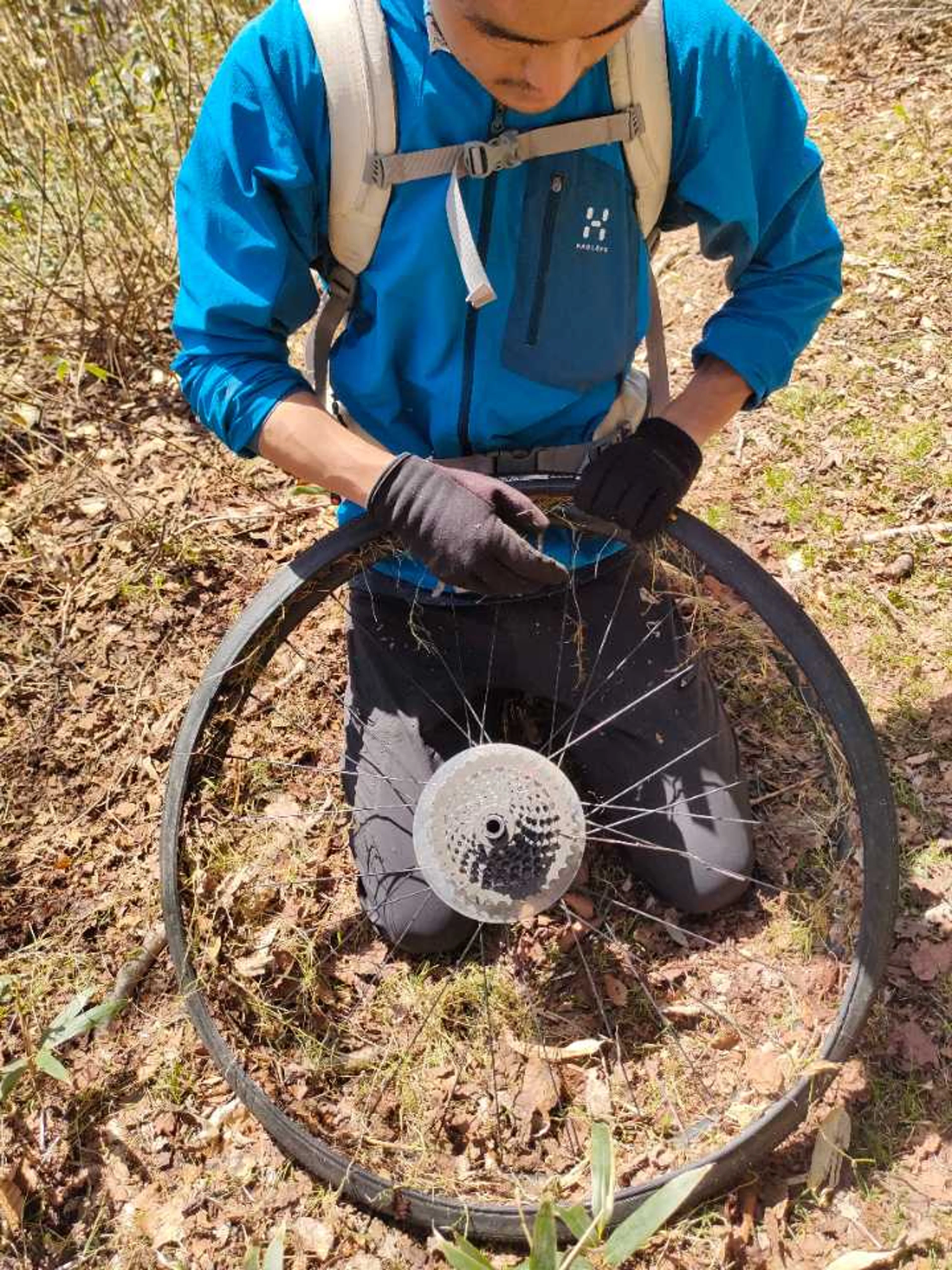 チューブ切れのため草つめつめ