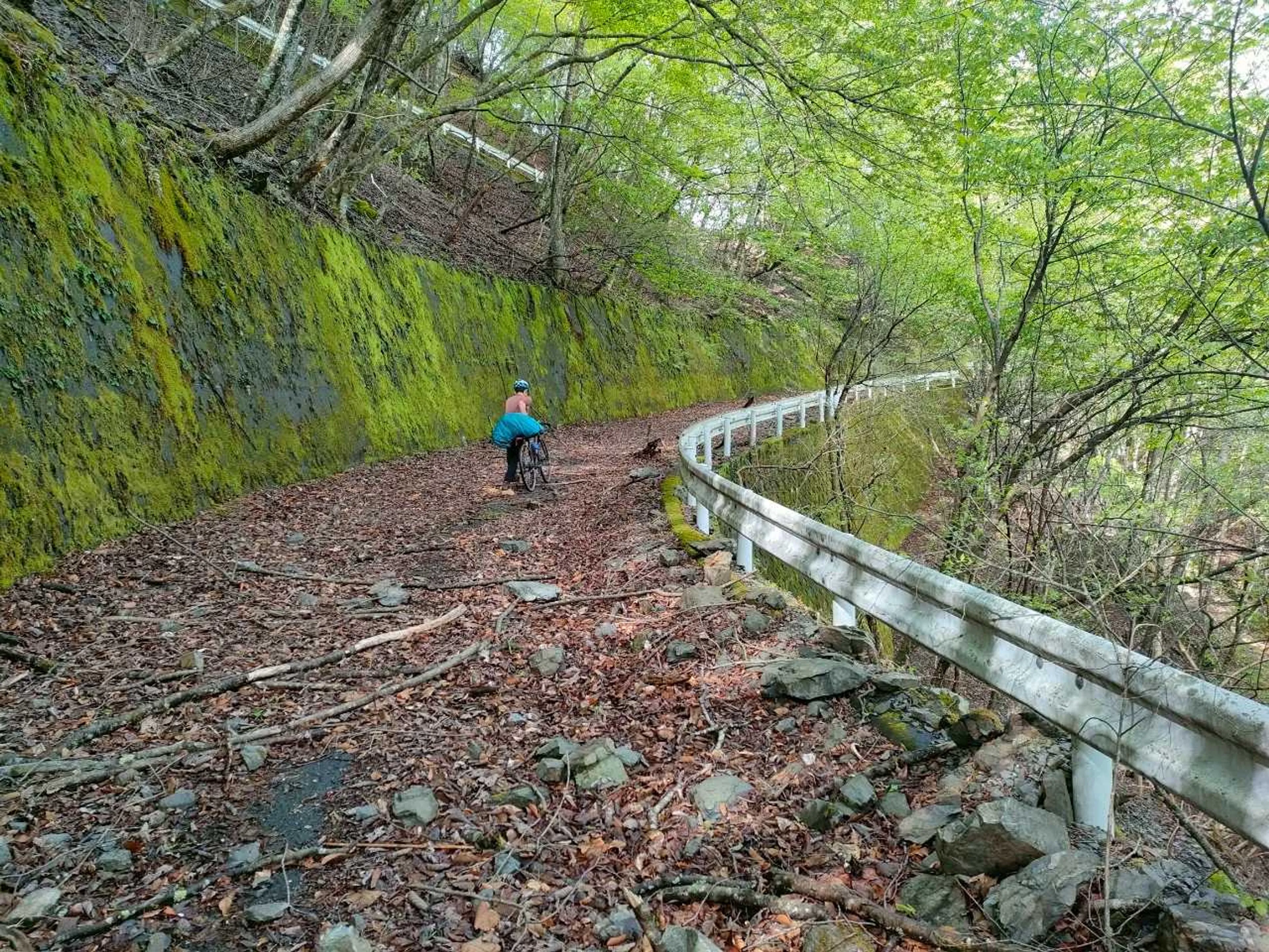 落ち葉が深いとヒルがすごい