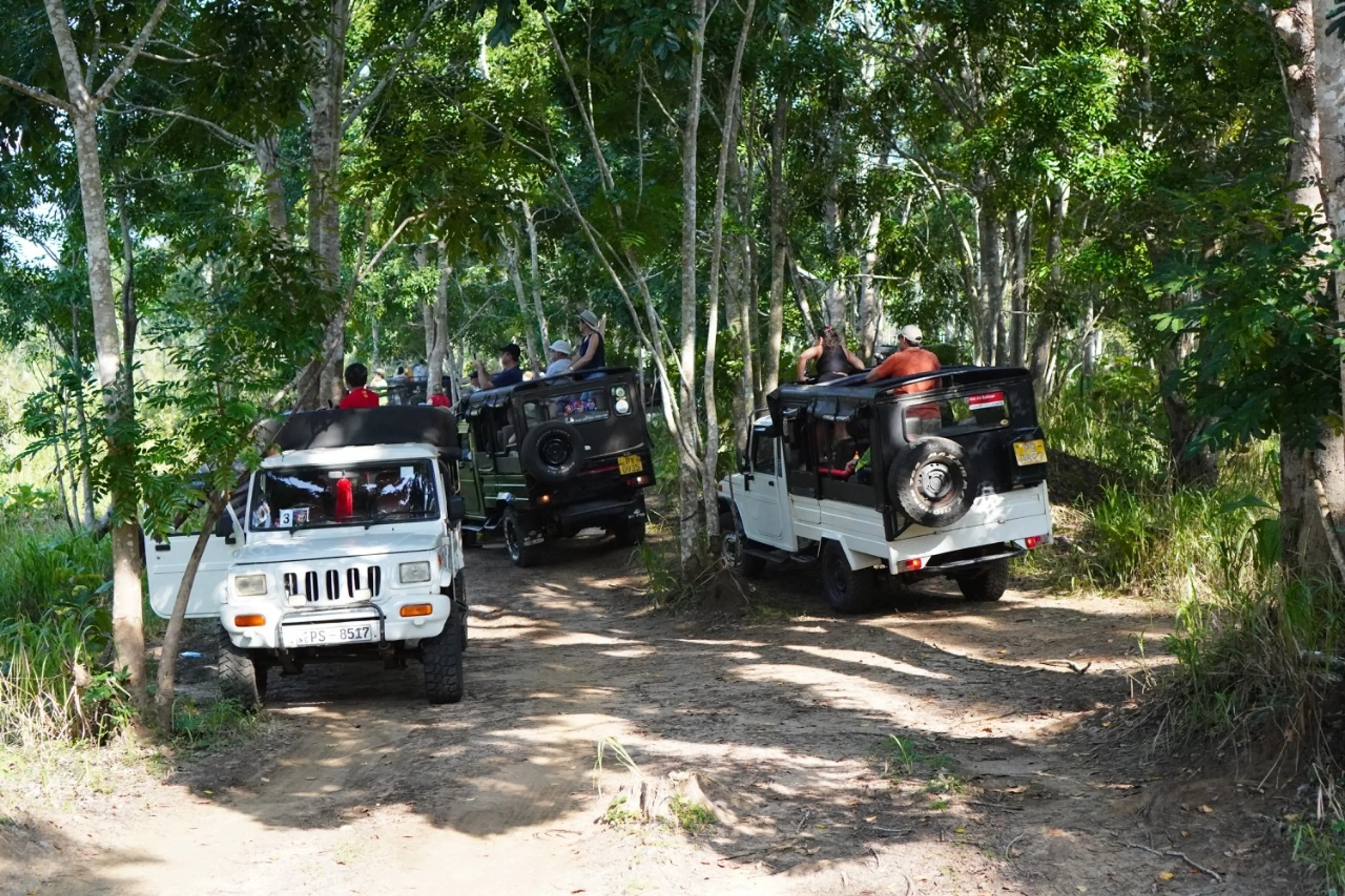 ジープに乗って像を見に