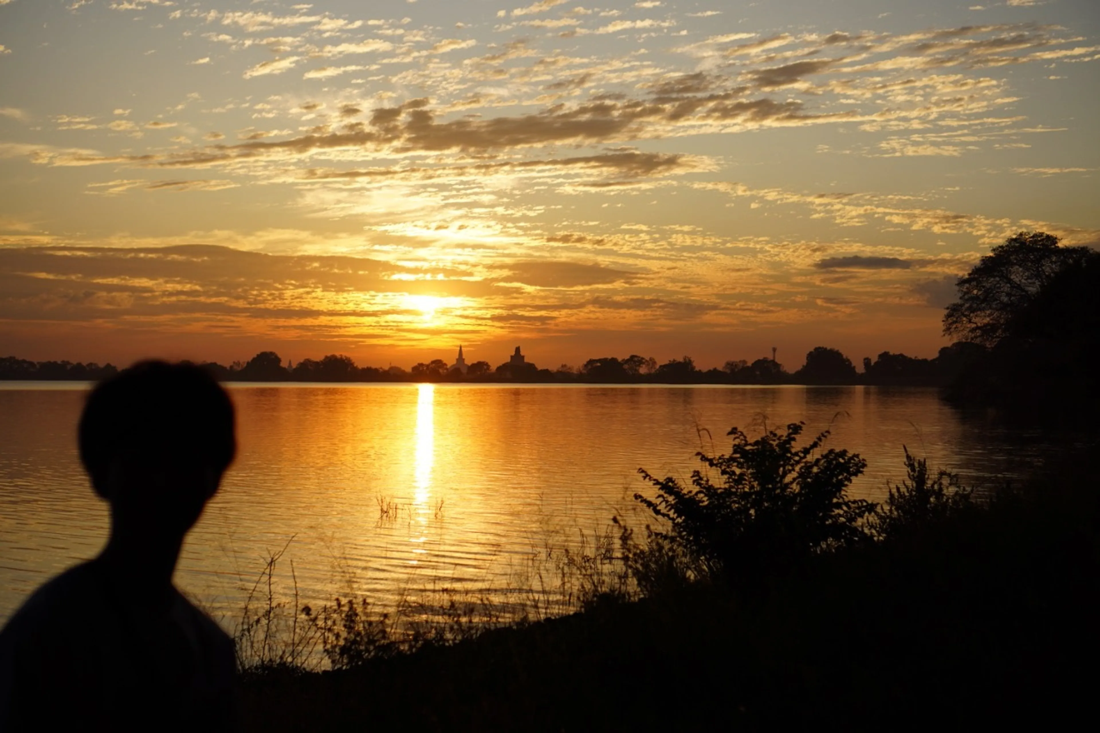 2025年3月 スリランカ遠征