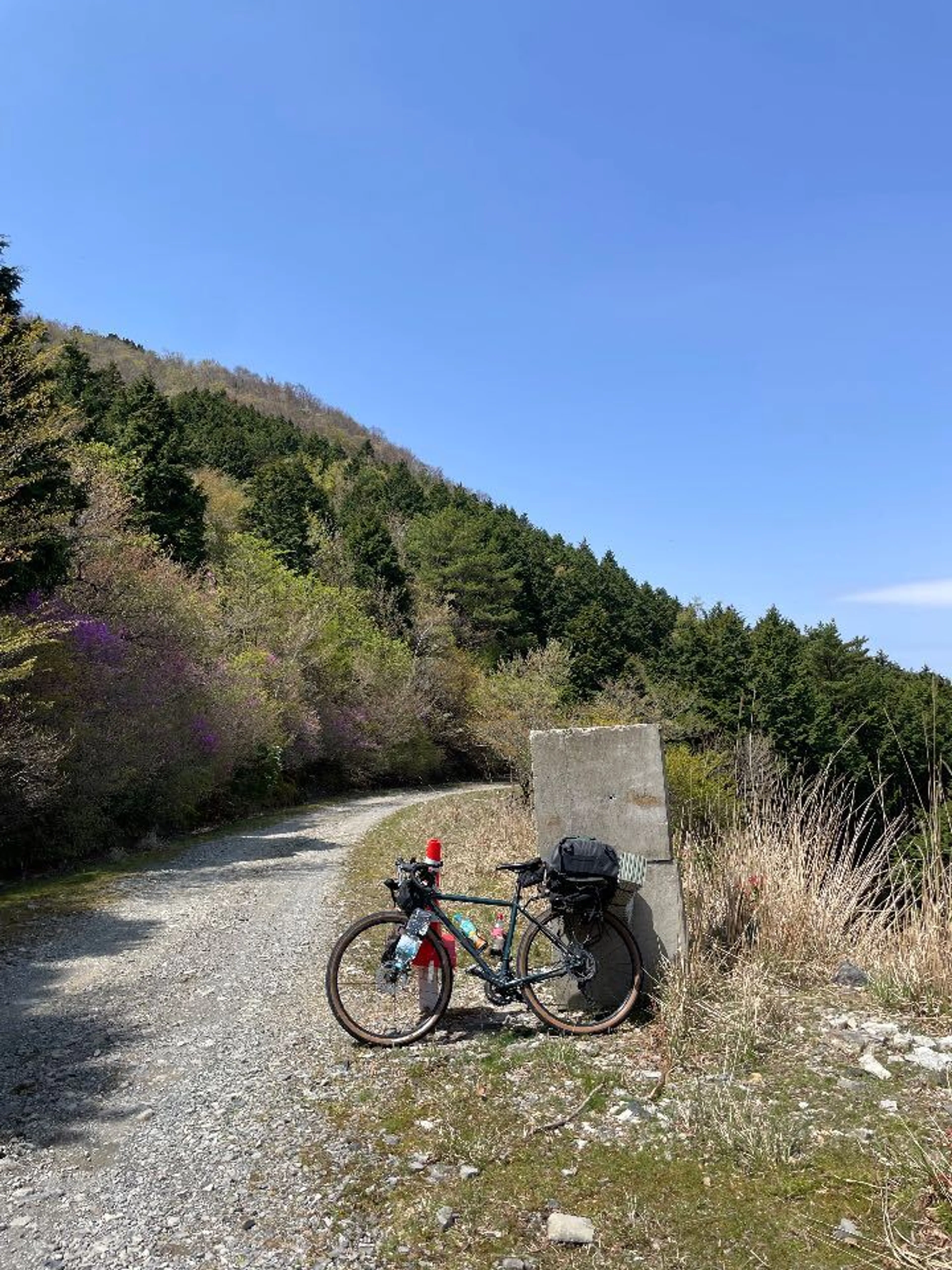 ここからダートの始まり