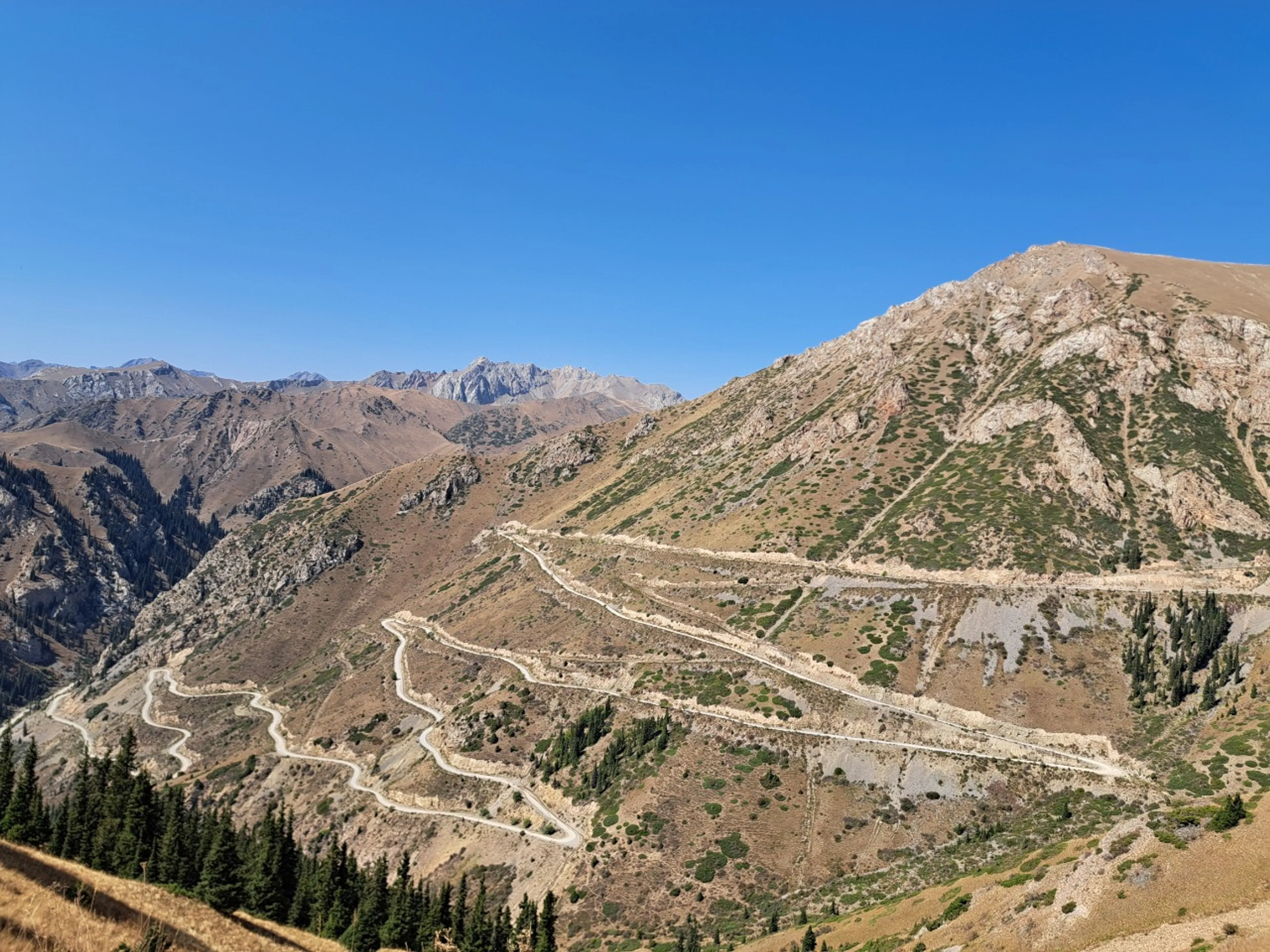 スイスですか？