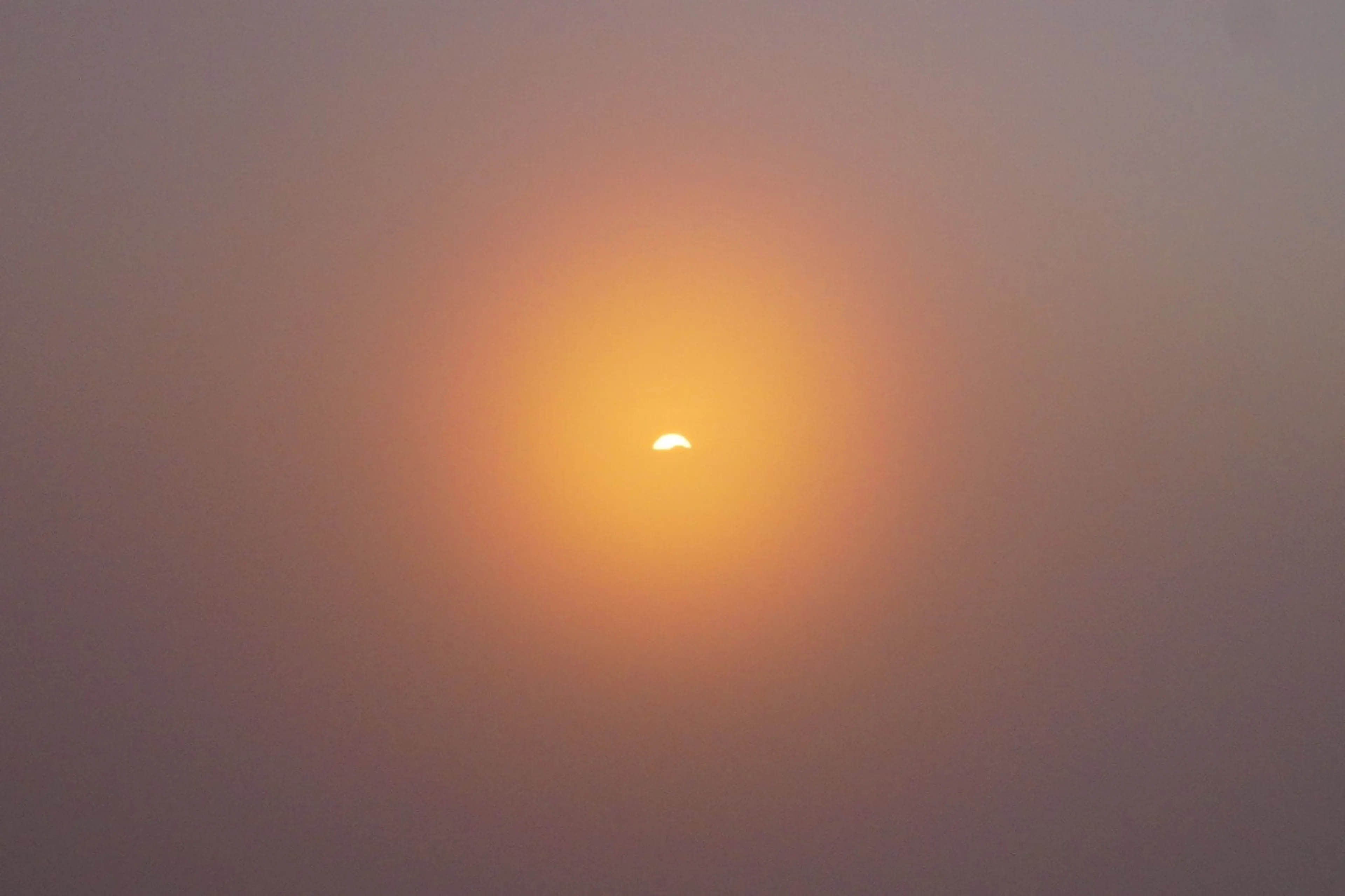 日出と共に霧に包まれた。なんで運が悪いんだと思ったけど日光で地表の水分が蒸発するから当たり前なのか。