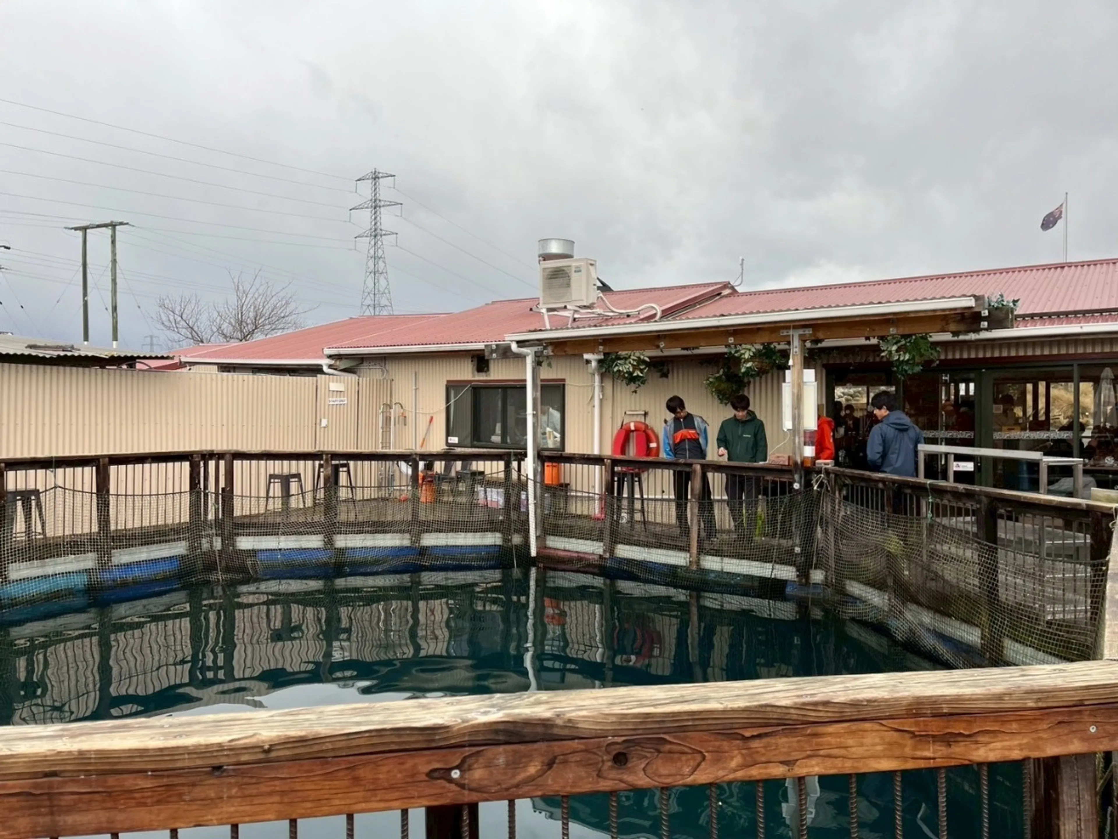 ここで養殖してるらしい