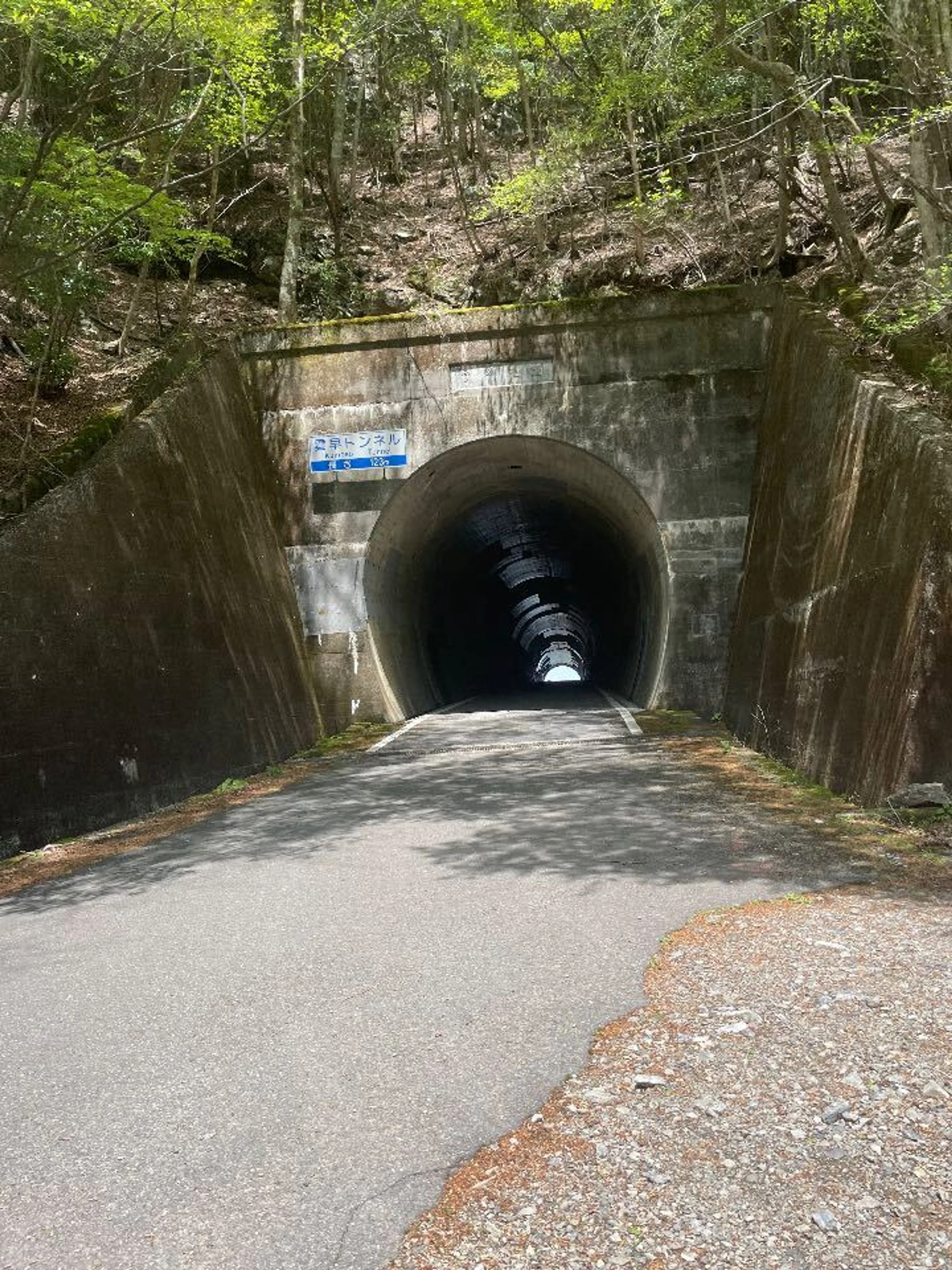 スーパー林道の東西を分ける公道。