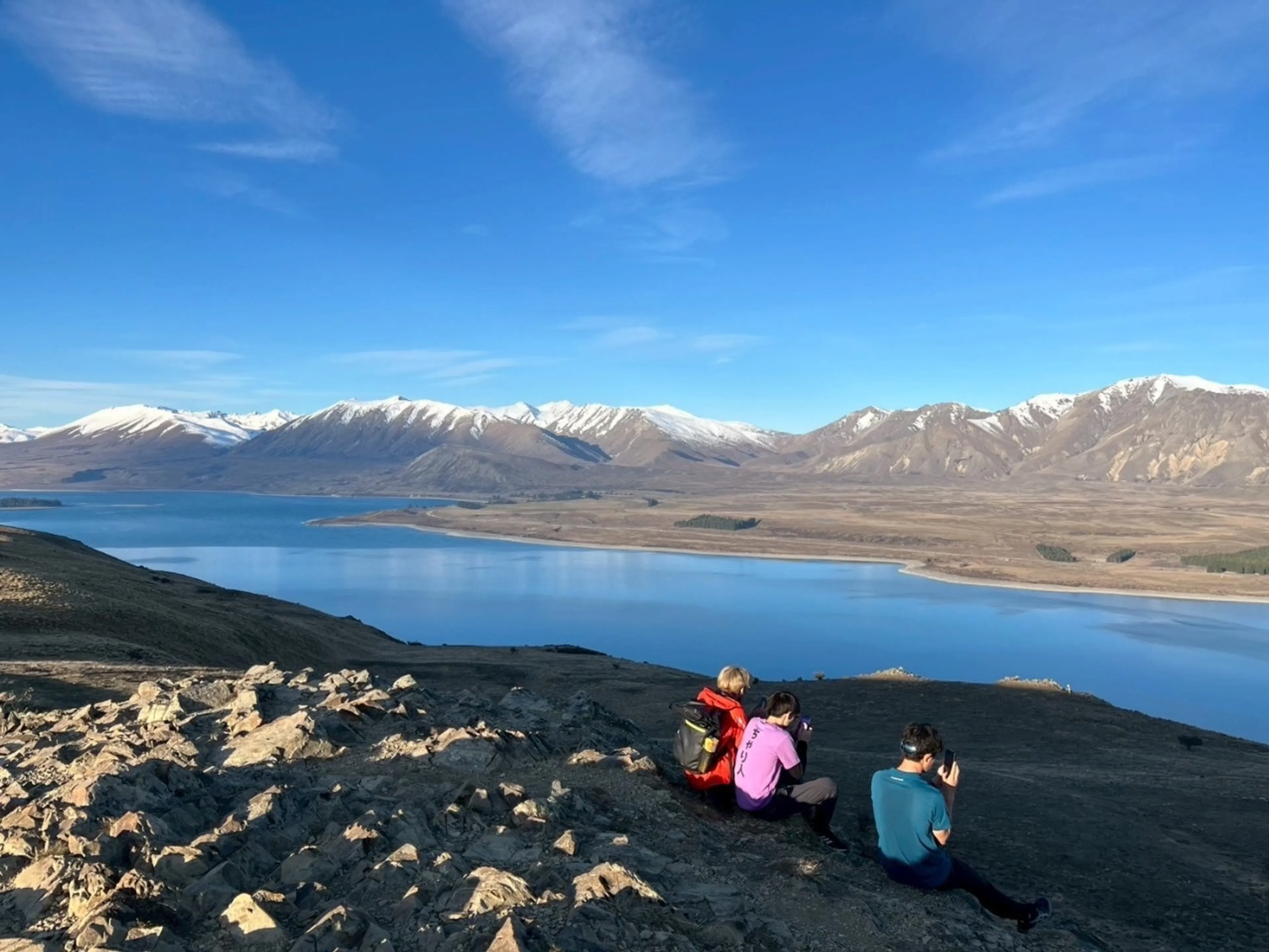 テカポ湖が綺麗すぎる〜