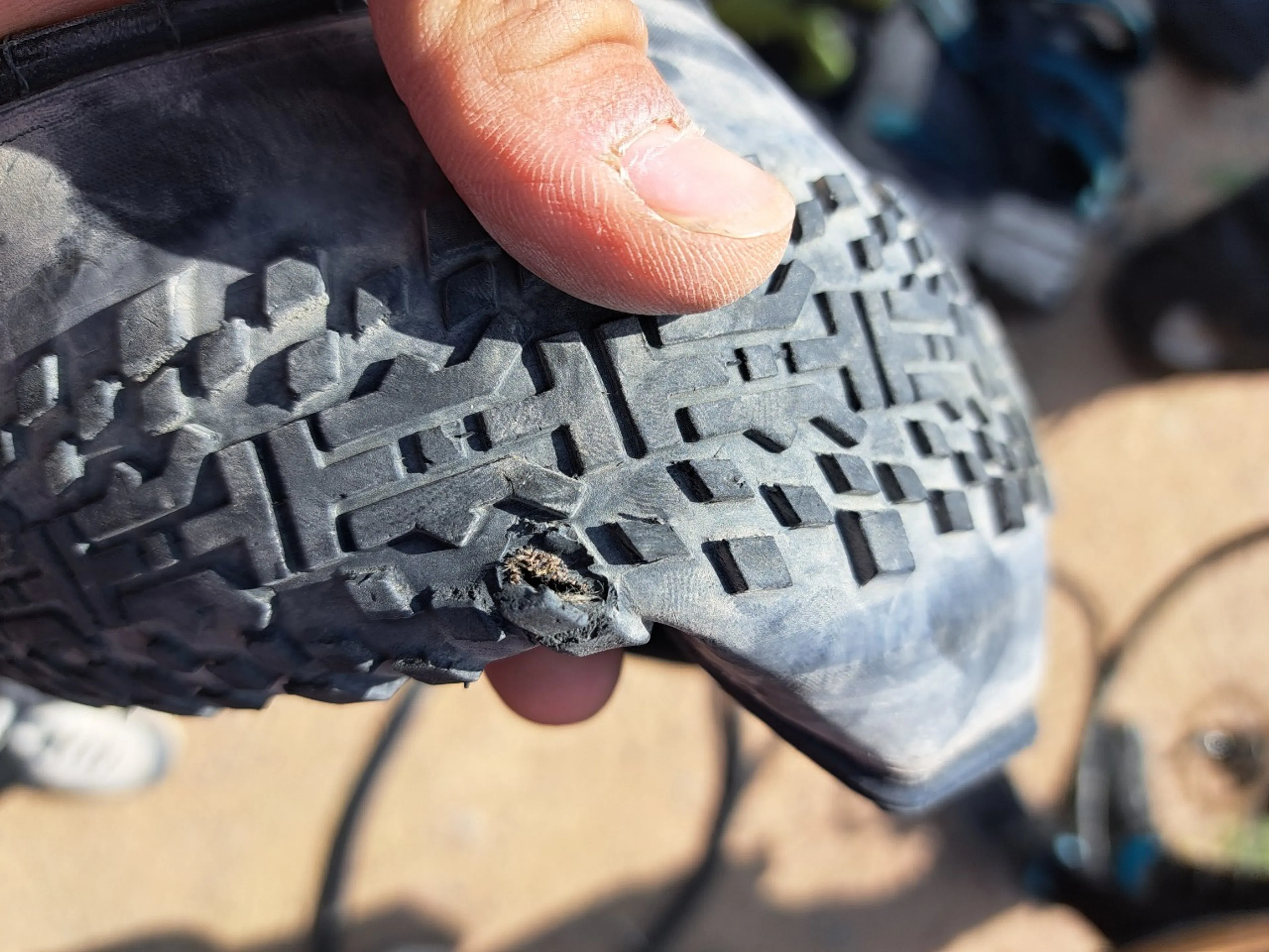 昨日パンクしたとこ。死んでたンゴ