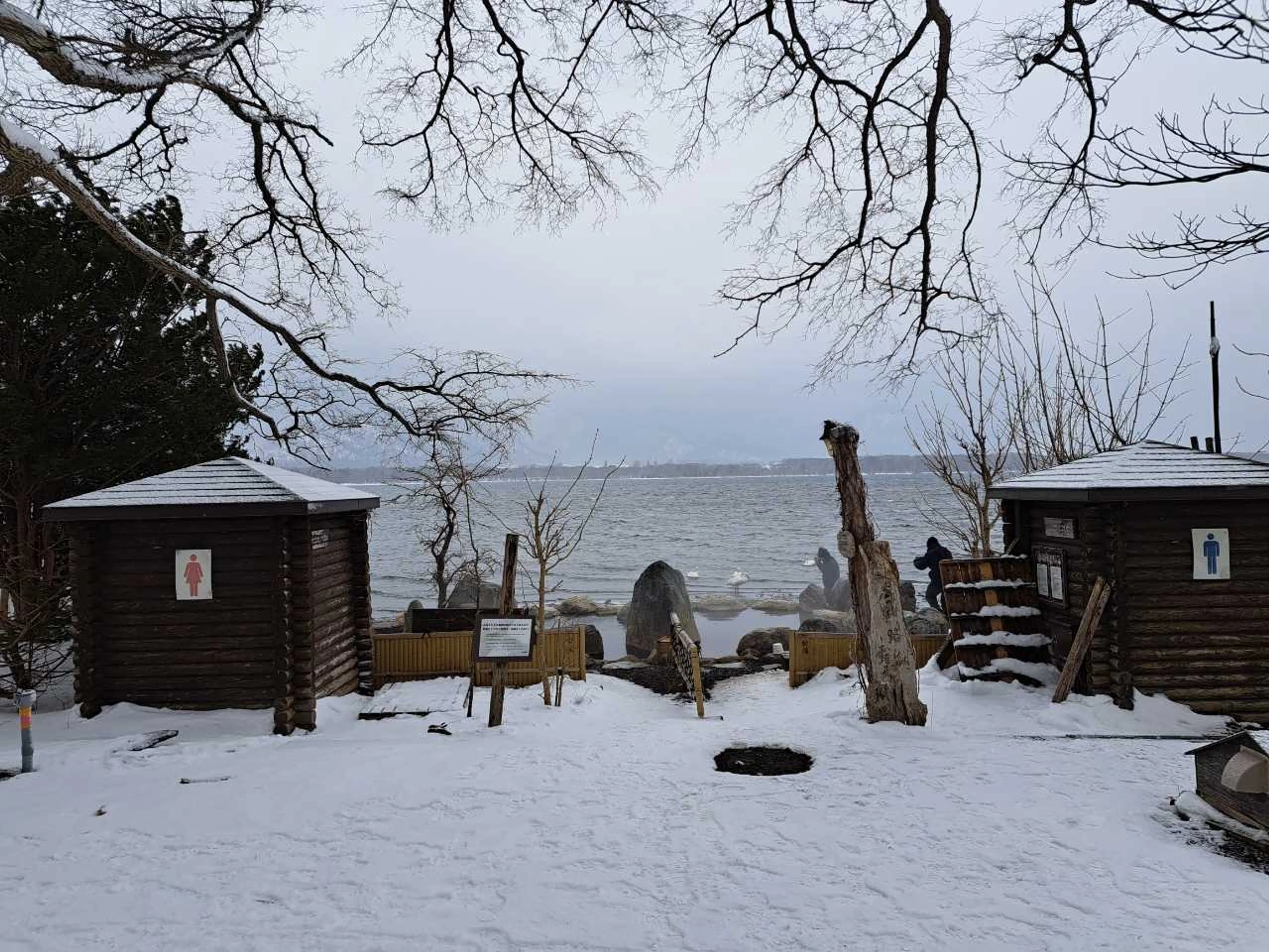 コタンの湯だぜ。白鳥と観光客だらけ