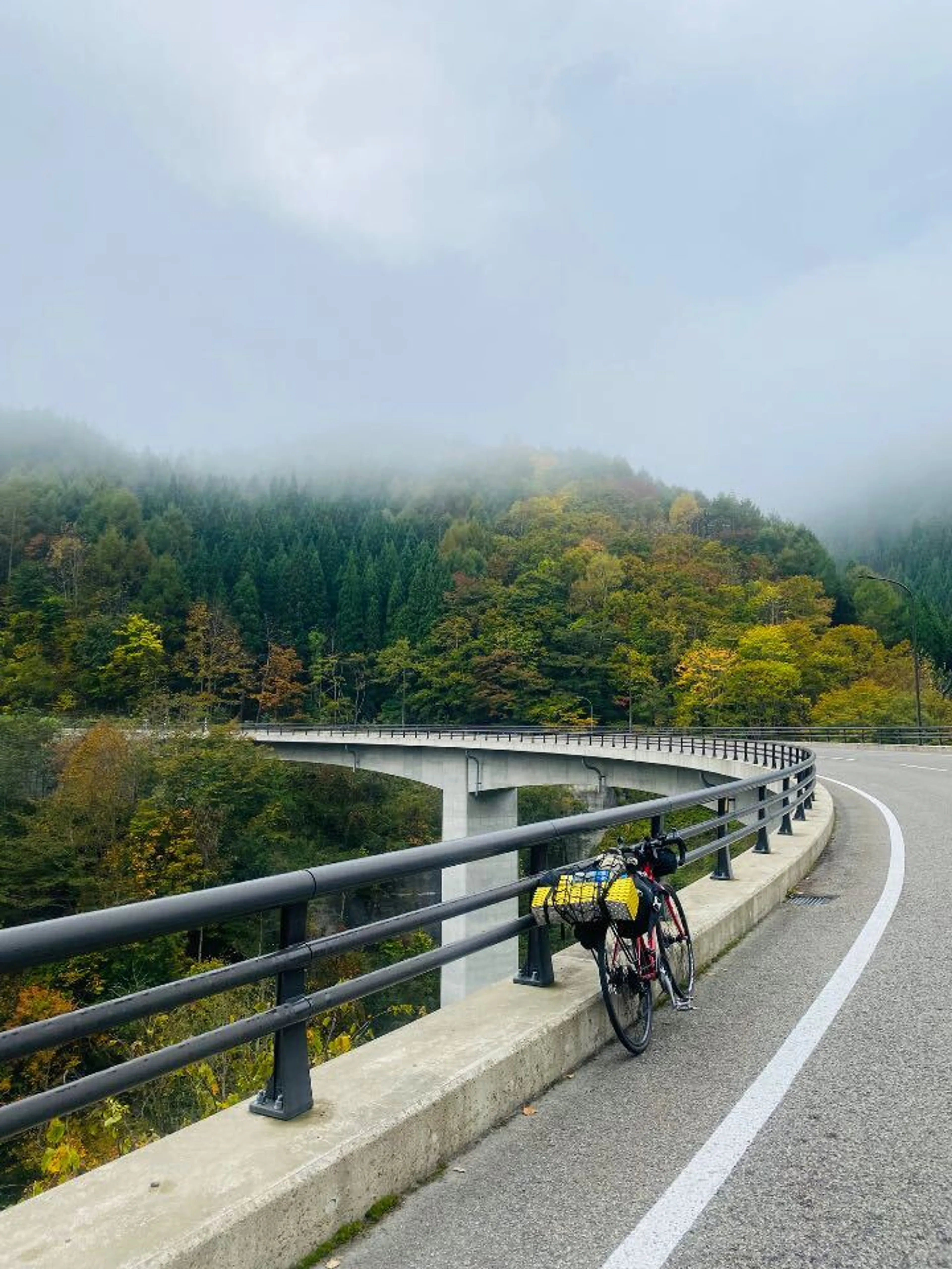 カーブ、エッッッッ‼️