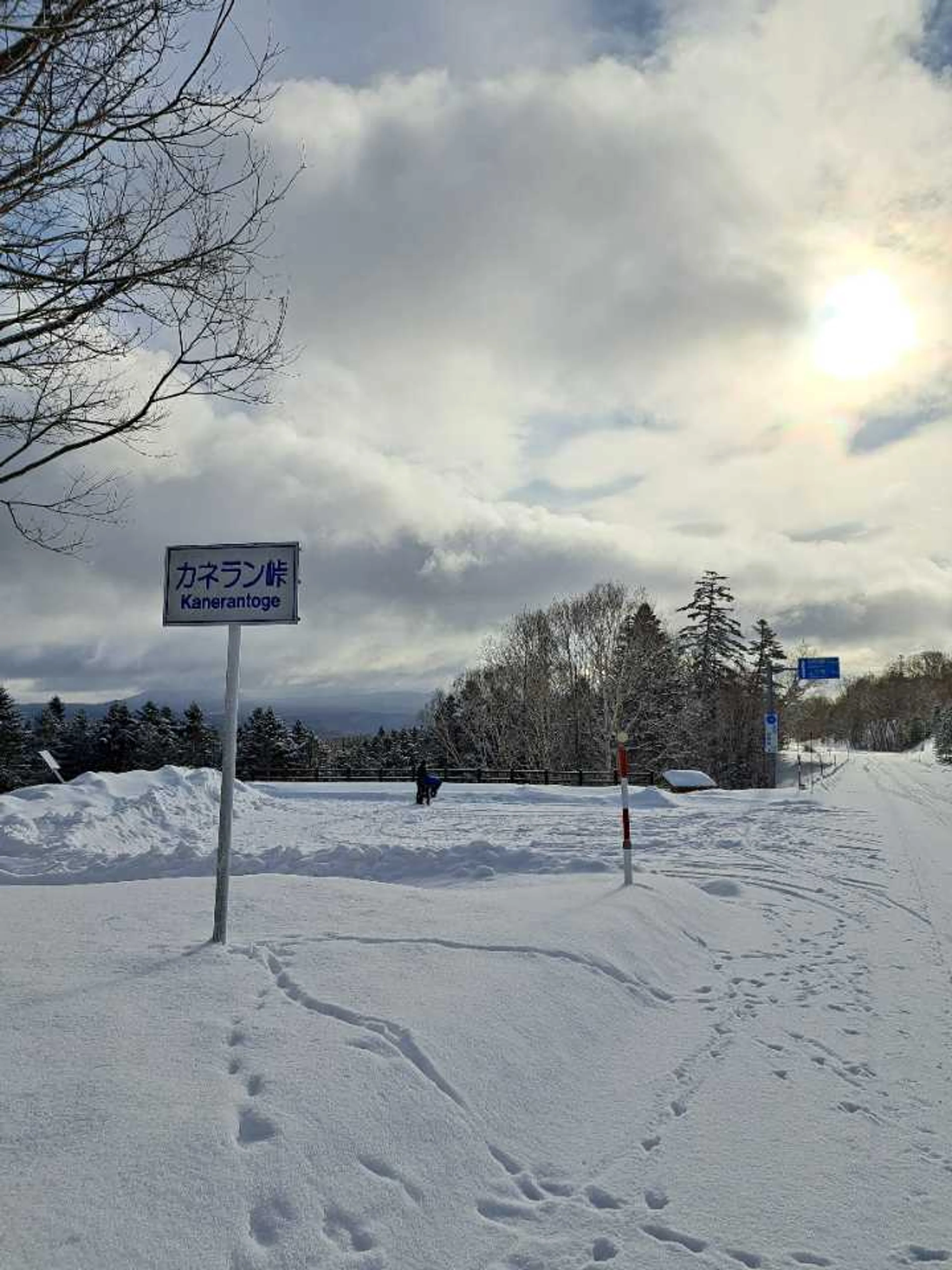 雲無ければ阿寒岳見れたかも