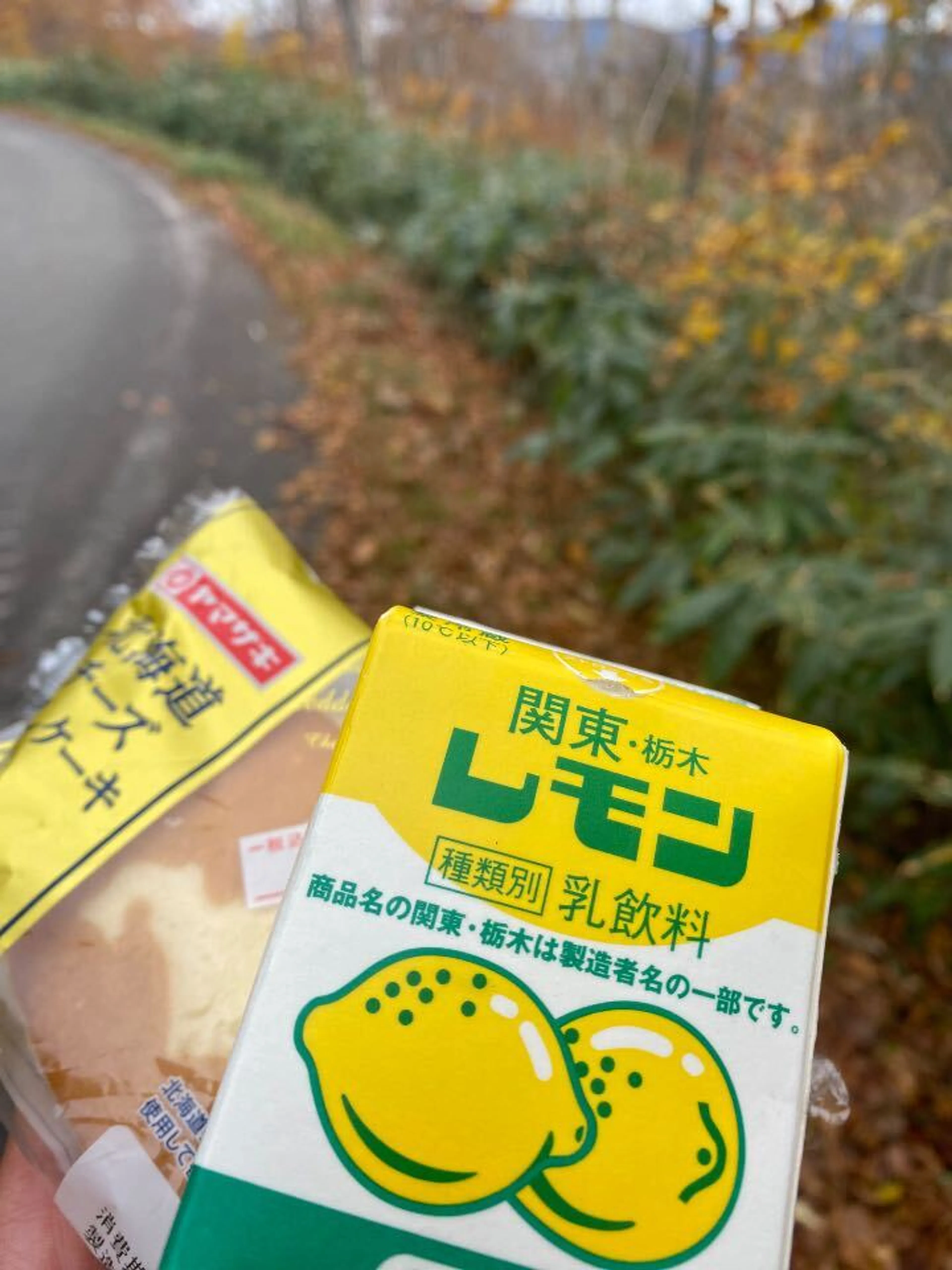 栃木で買っといた奴、多分だしとか入ってる