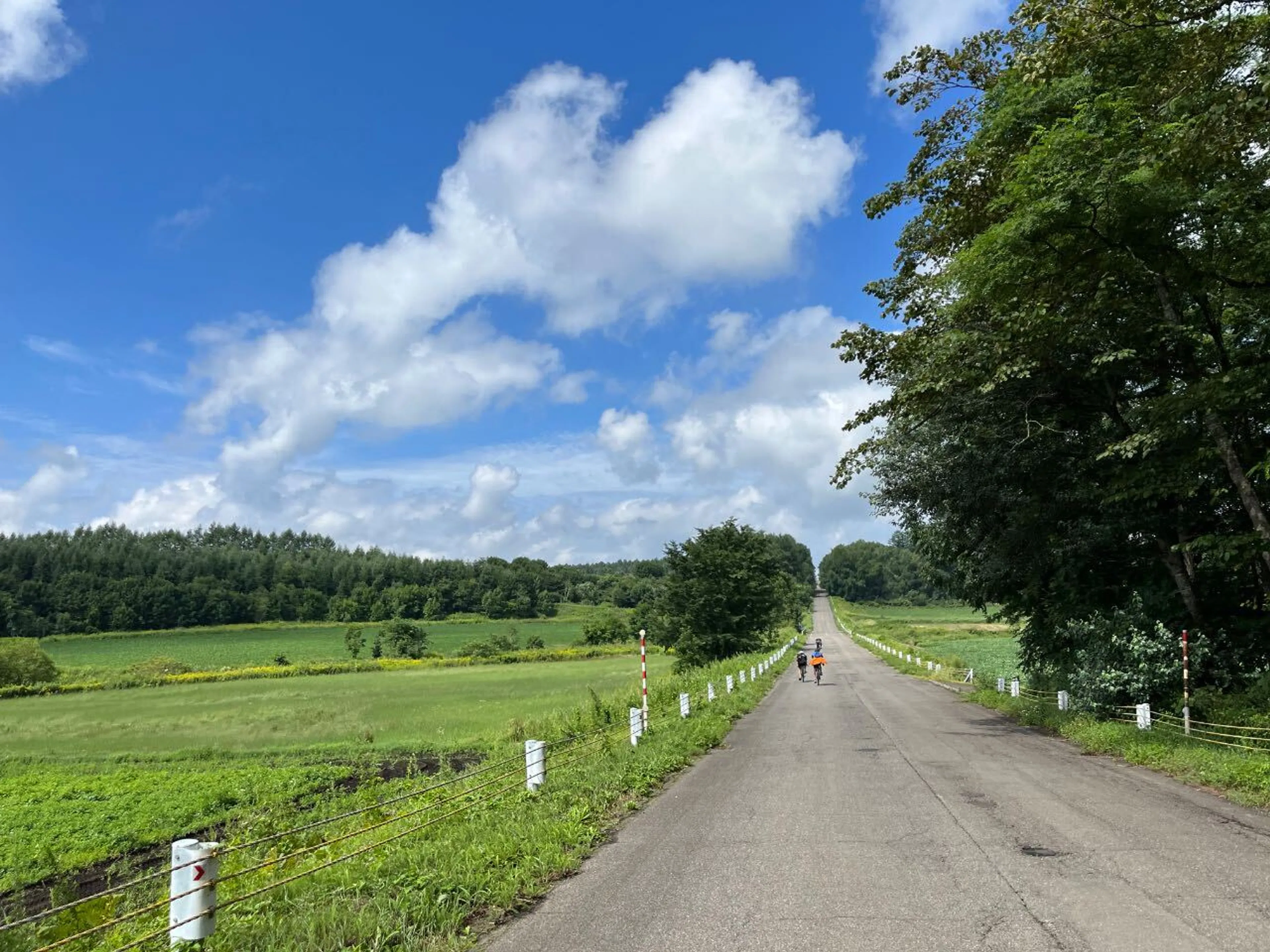 帯広あたり夏って感じ