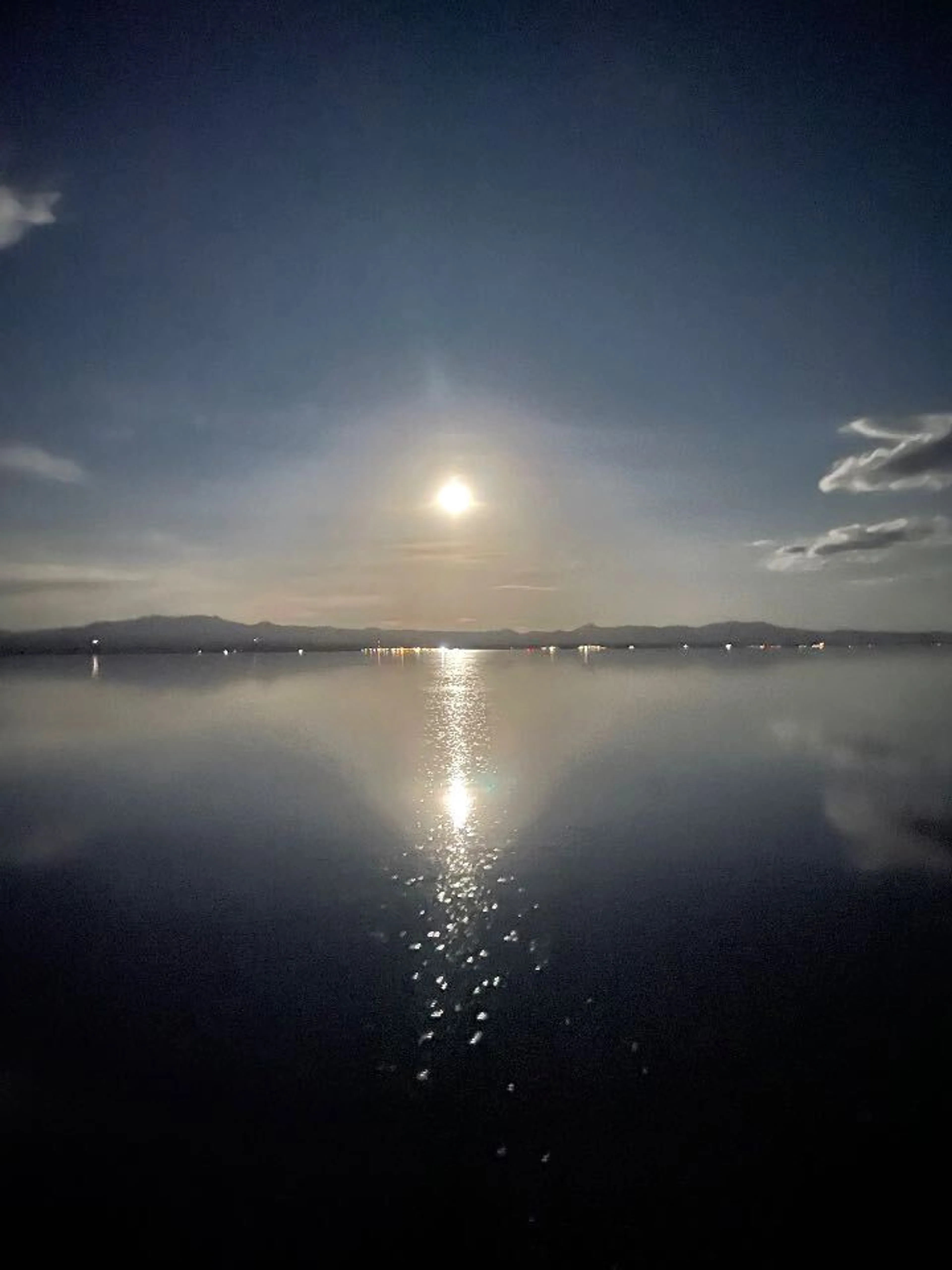 月明るすぎて草