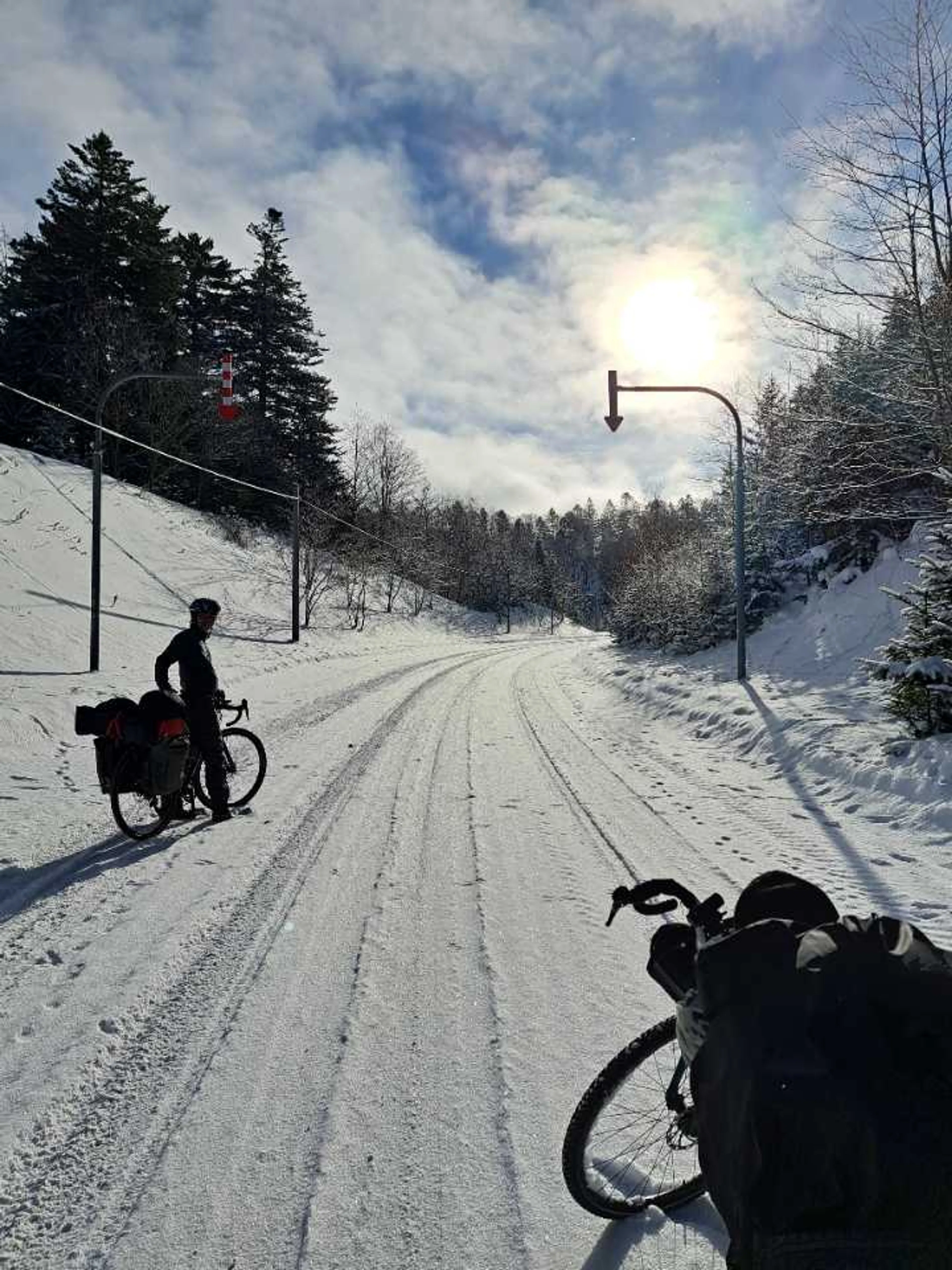 狐のトレースだらけだった