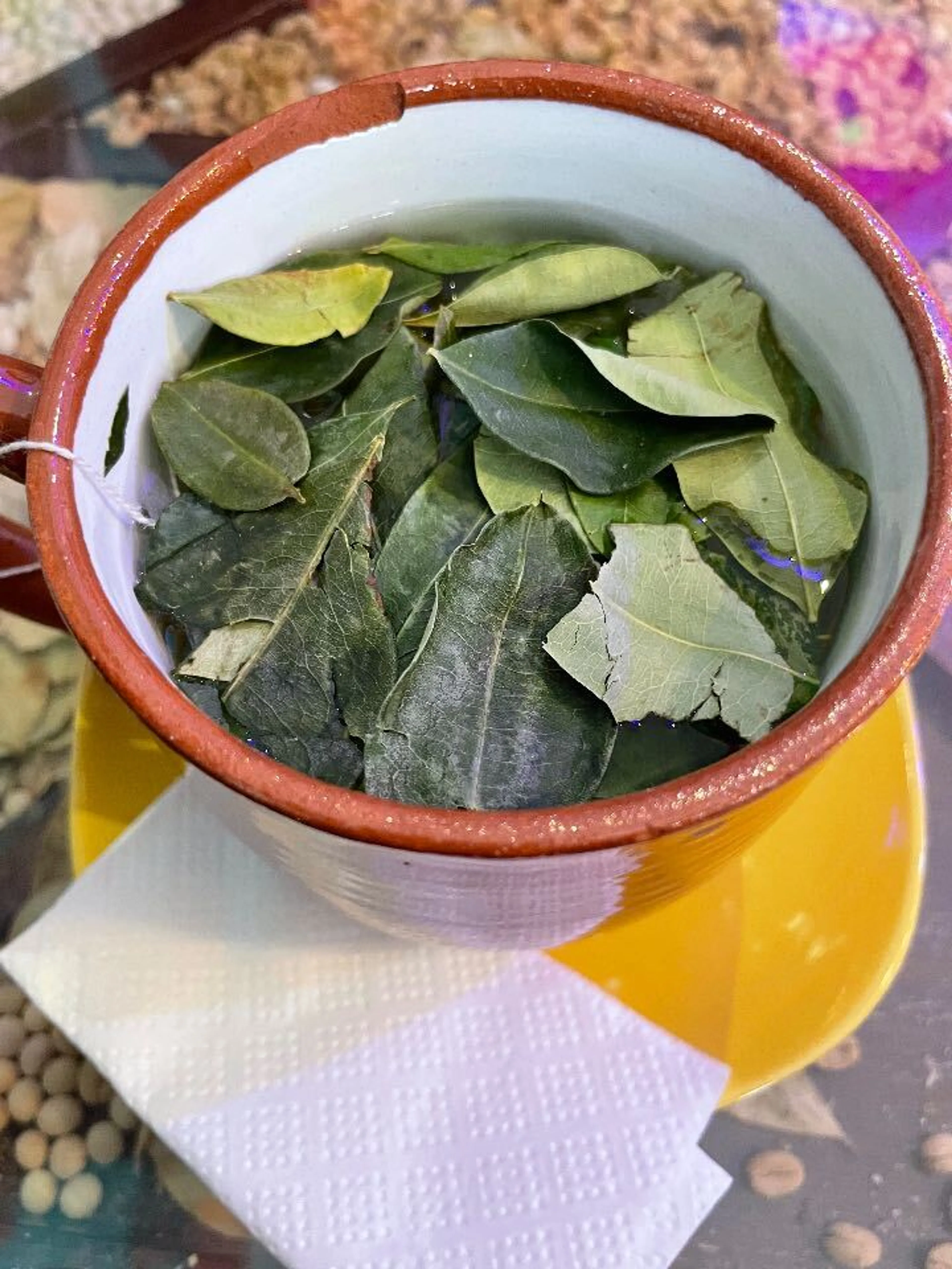 コカ茶（葉っぱもぐもぐ）