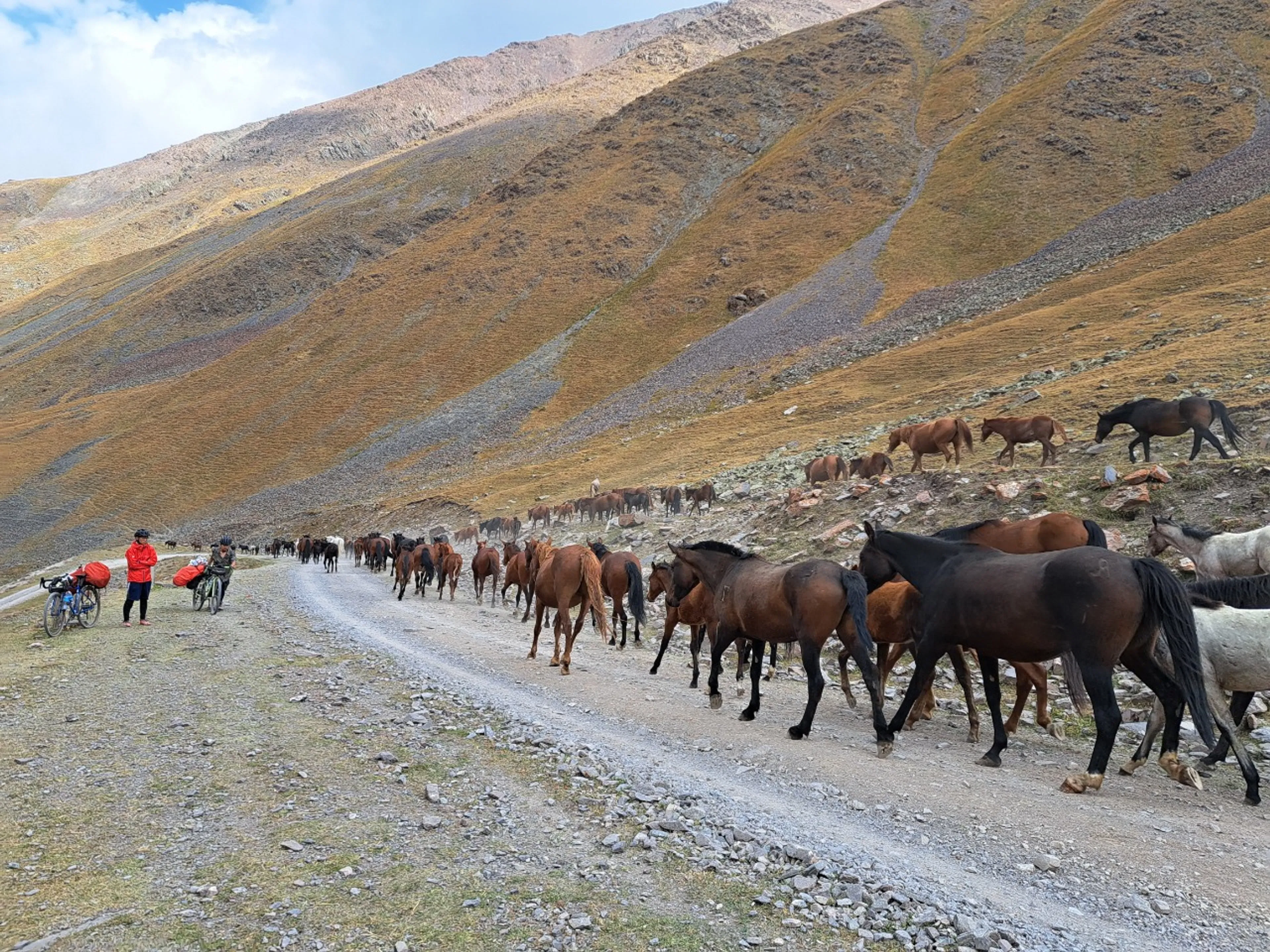 遊牧民たちと度々すれ違った