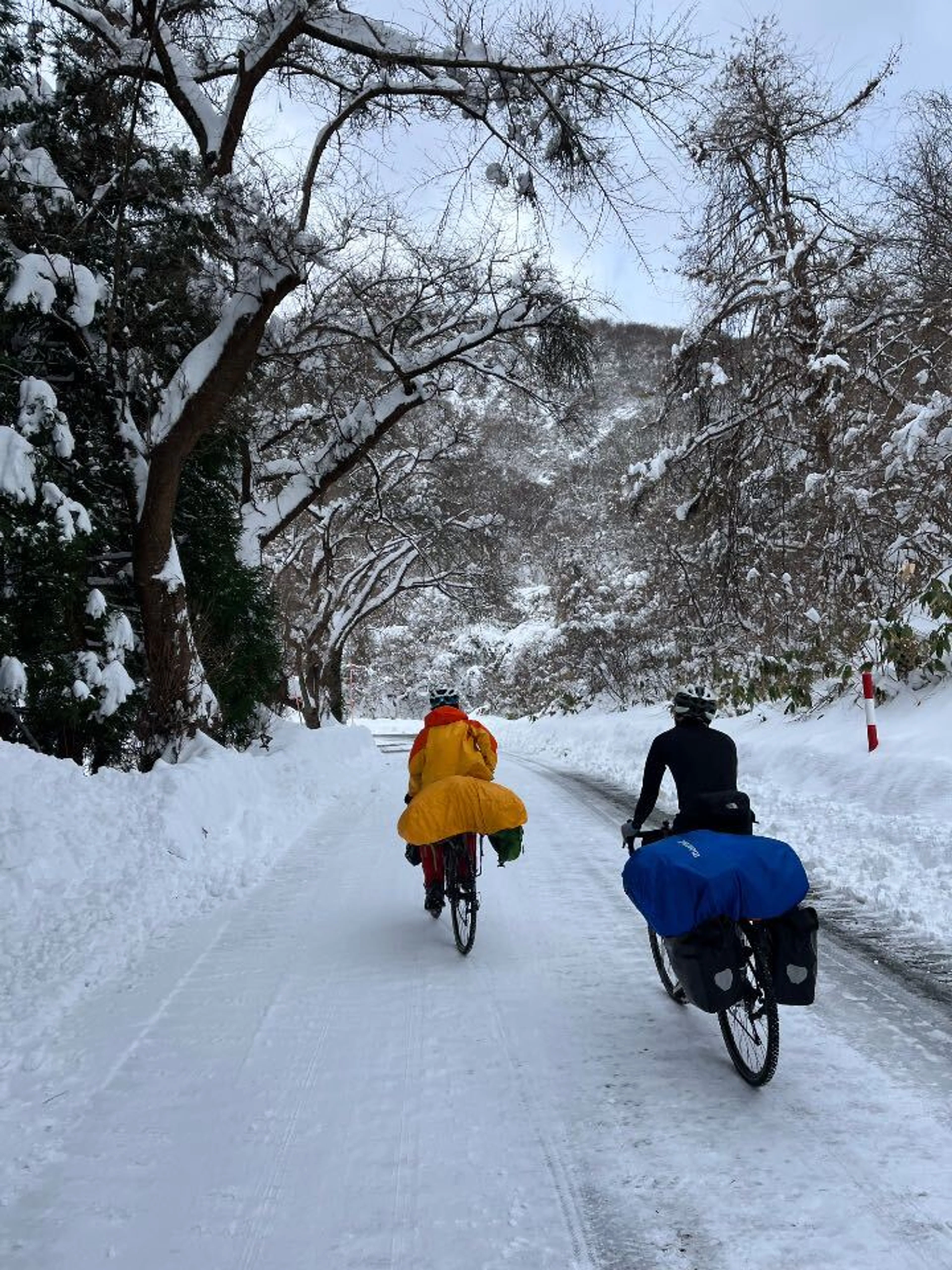 寒風山ヒルクライム