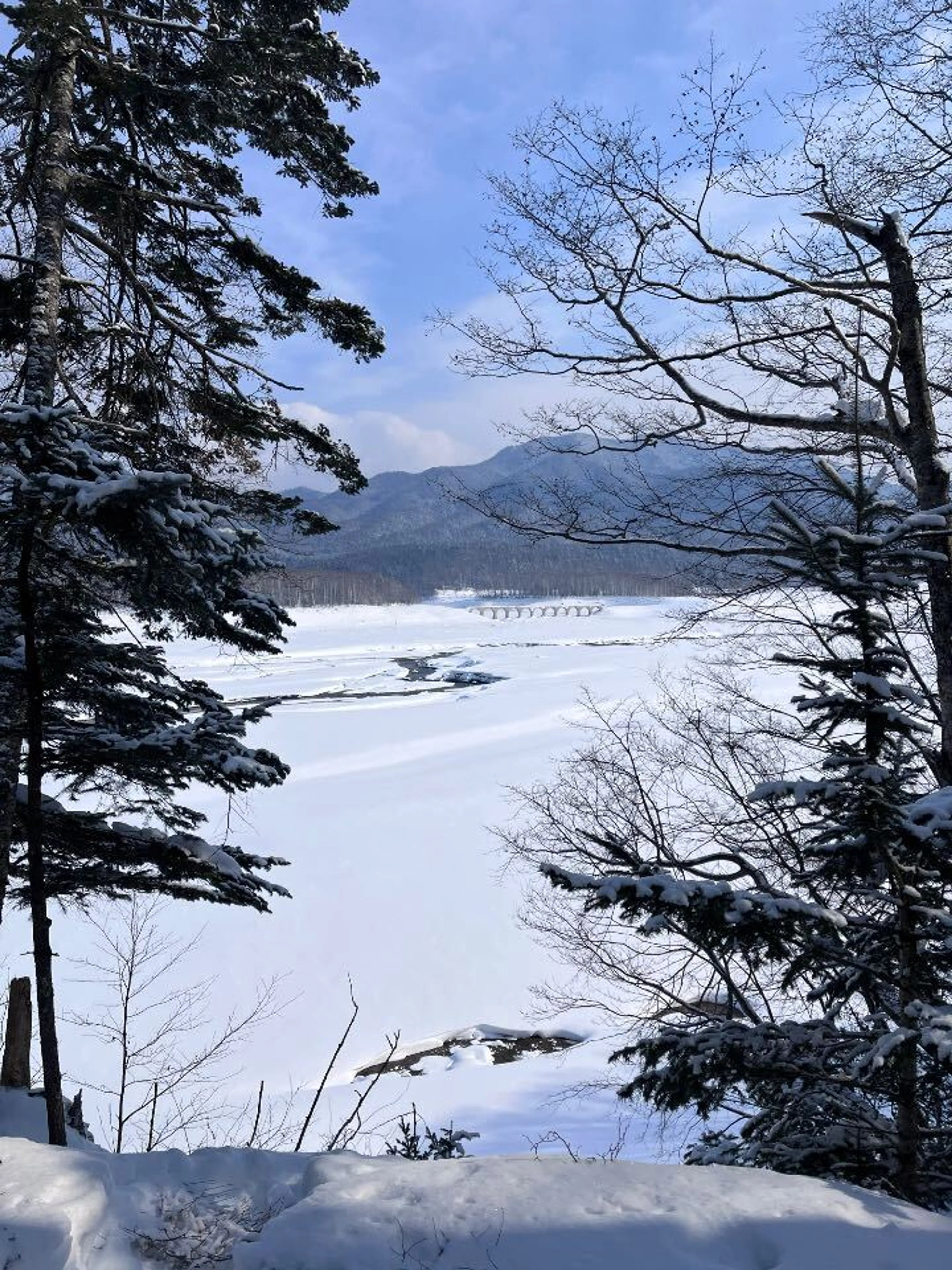 タウシュベツ川橋梁かわいい