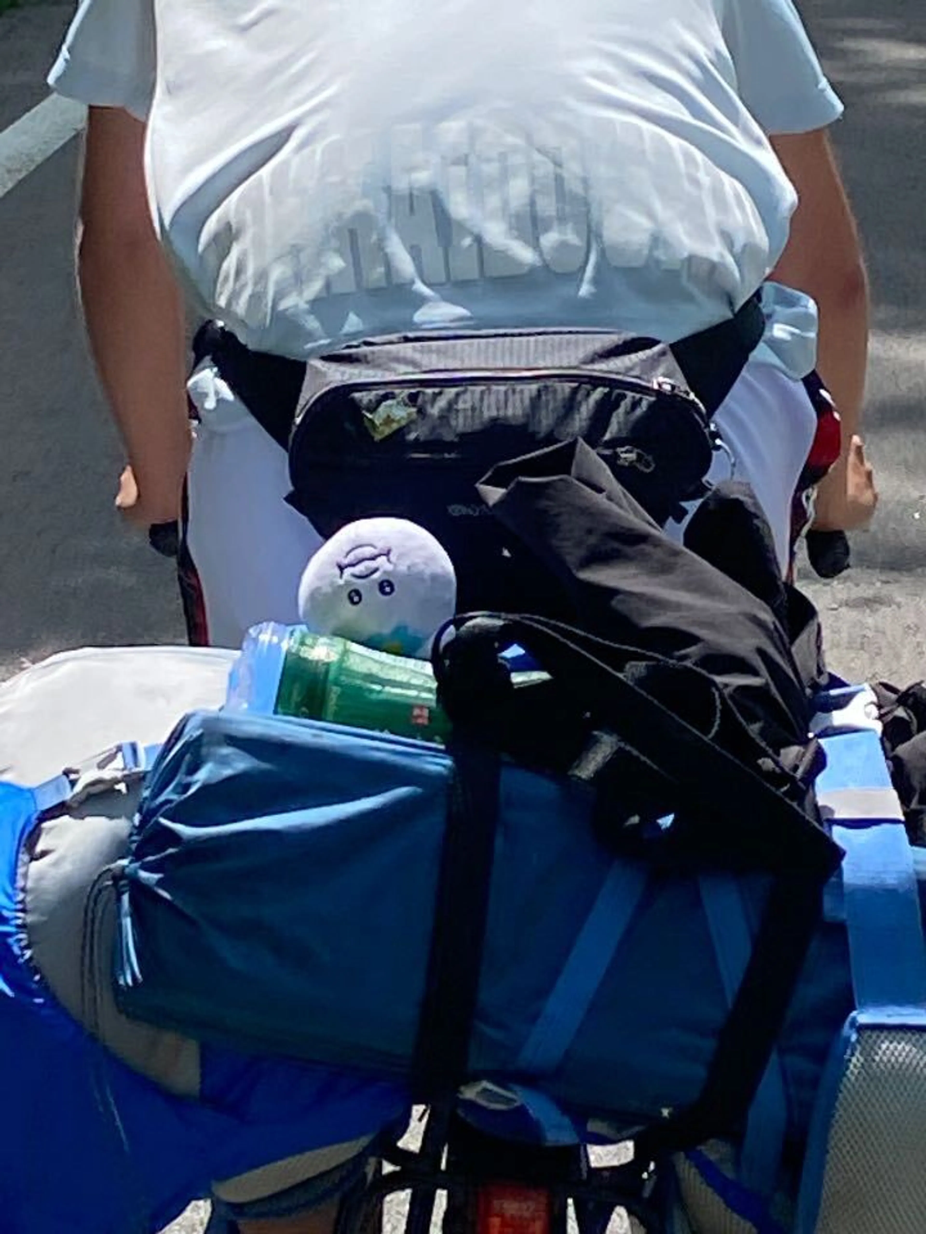 これにはんぽちゃむもこの顔である