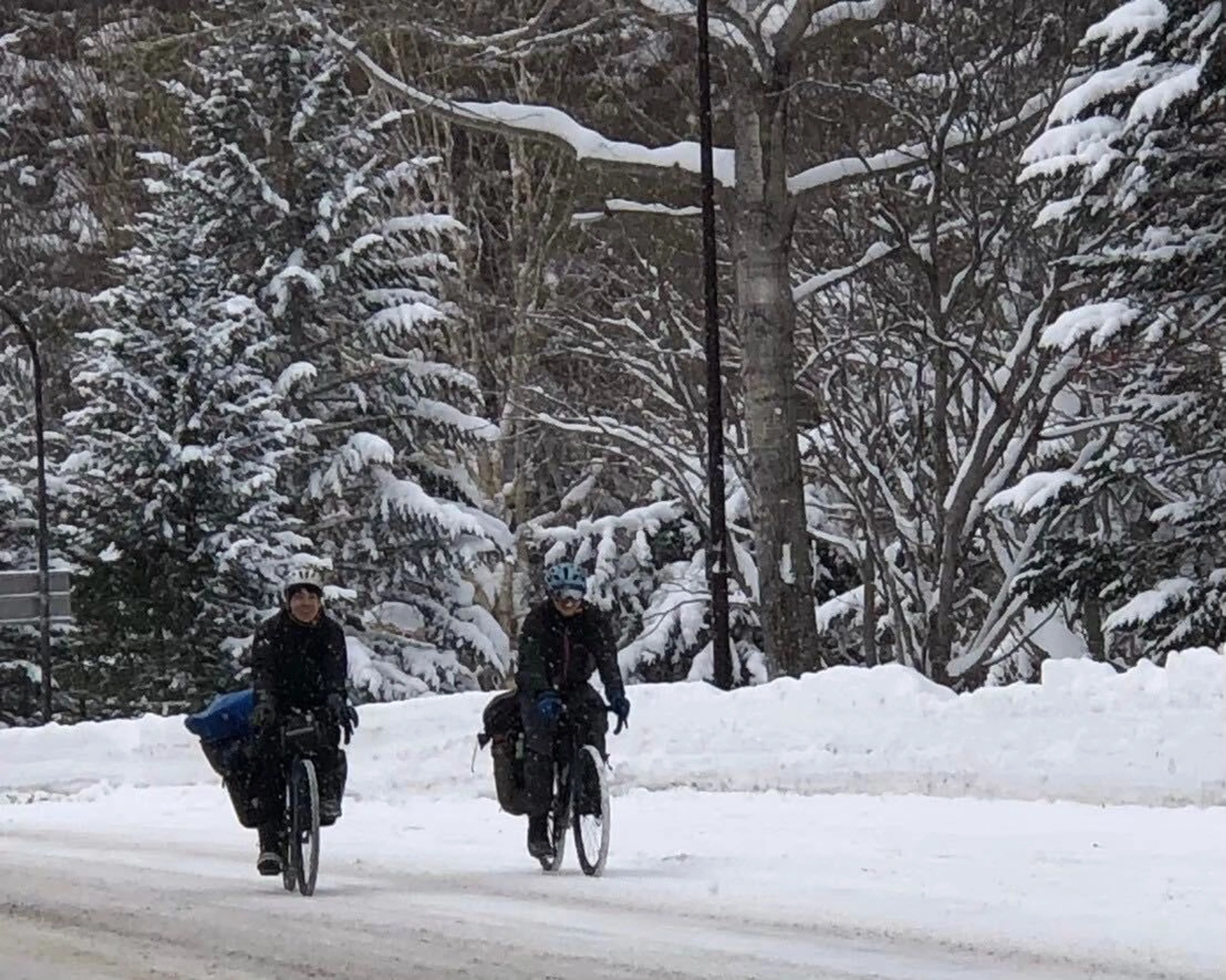 なんか前から見たことある人たちが…