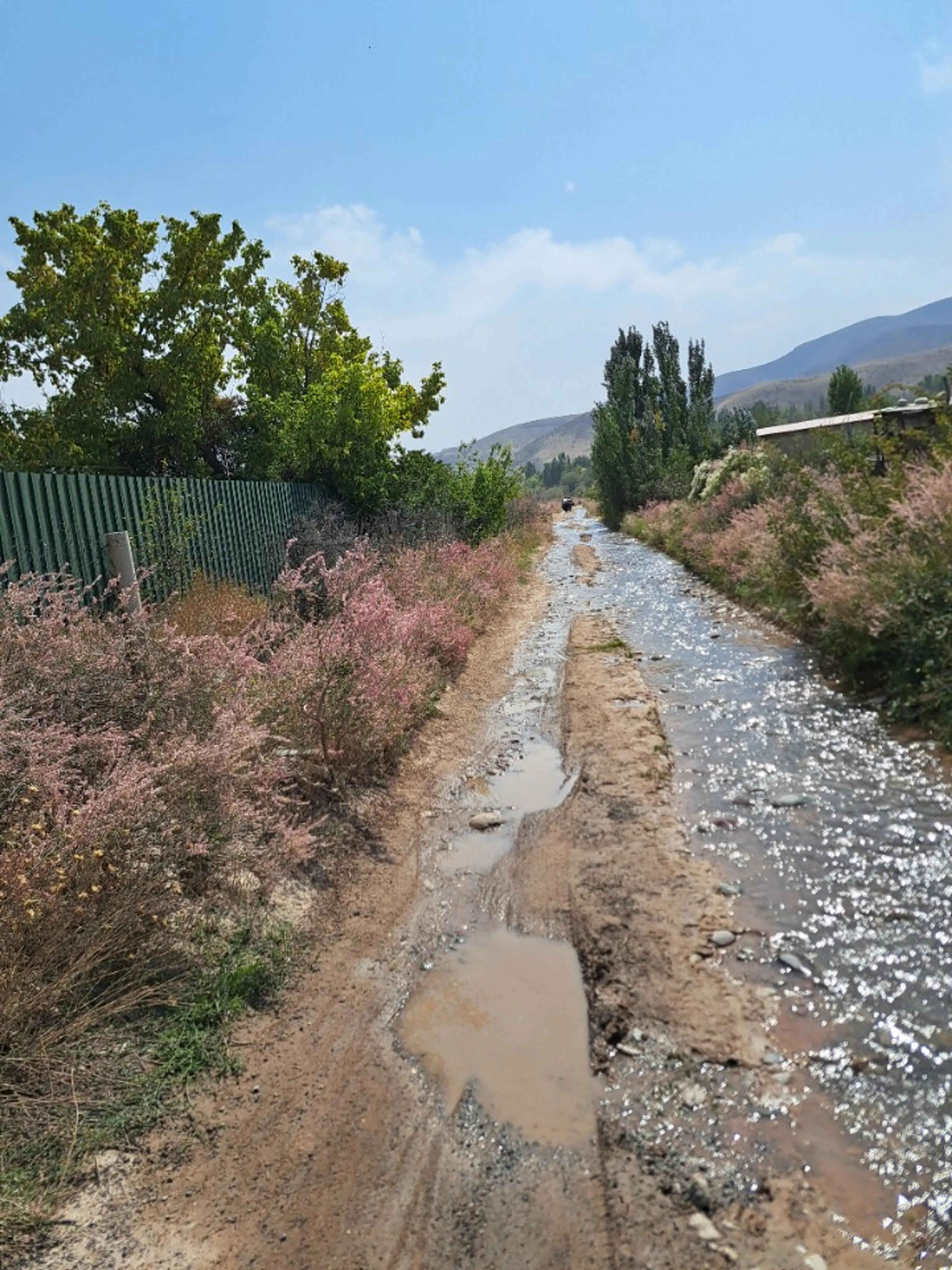 ちなみにこれは大通り判定でした