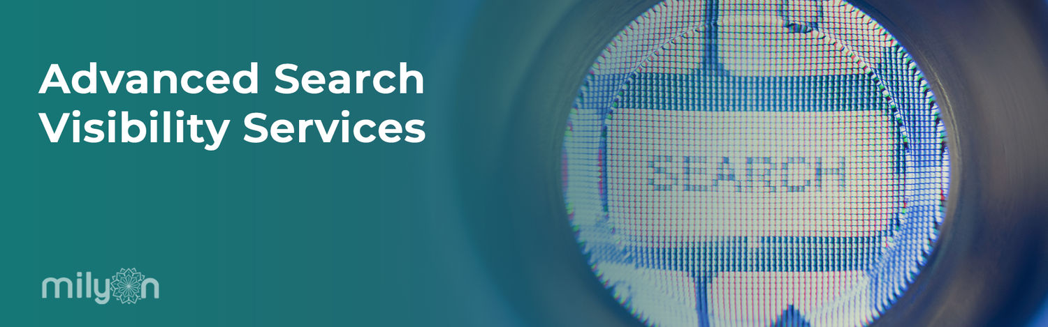 Advanced Search Visibility Services