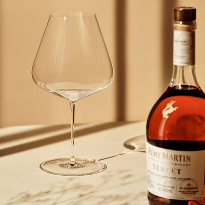 The best glasses for drinking cognac for Remy Martin
