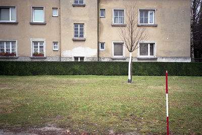 SCHMOTT PingPong 44