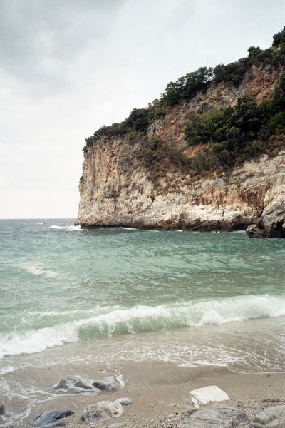 SCHMOTT PingPong 244