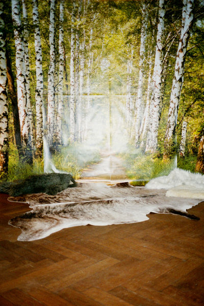 SCHMOTT PingPong 255