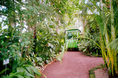 SCHMOTT PingPong 256