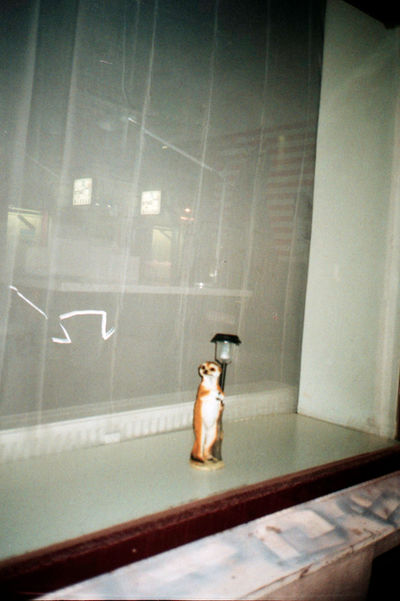 SCHMOTT PingPong 258