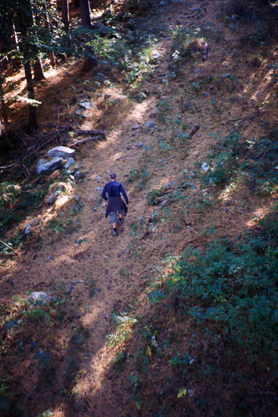 SCHMOTT PingPong 303