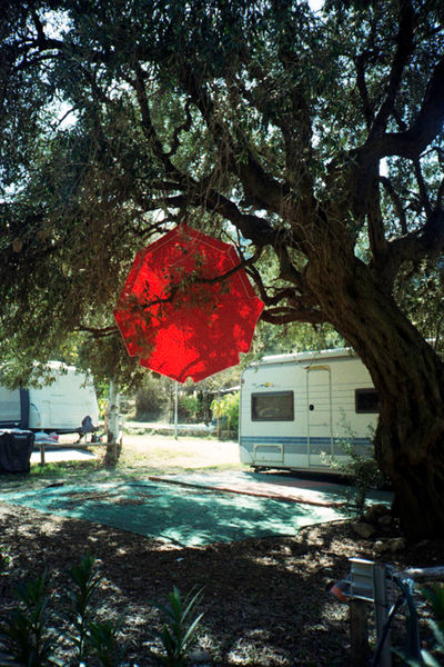 SCHMOTT PingPong 307