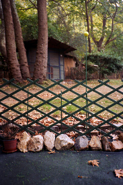 SCHMOTT PingPong 315