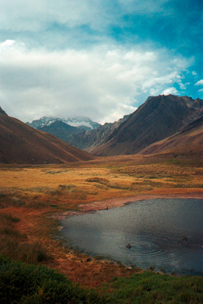 SCHMOTT PingPong 337