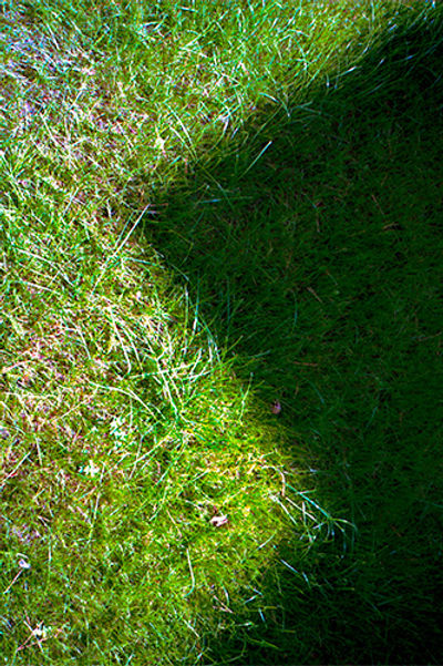 SCHMOTT PingPong 359