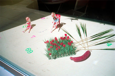 SCHMOTT PingPong 363