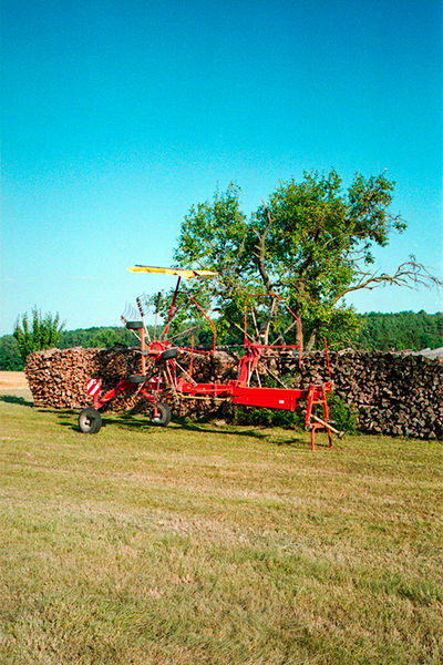 SCHMOTT PingPong 365