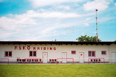 SCHMOTT PingPong 367