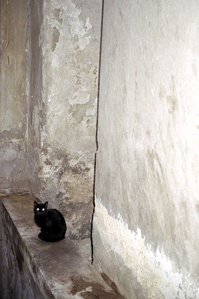 SCHMOTT PingPong 371