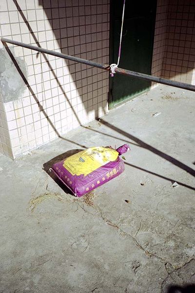 SCHMOTT PingPong 381